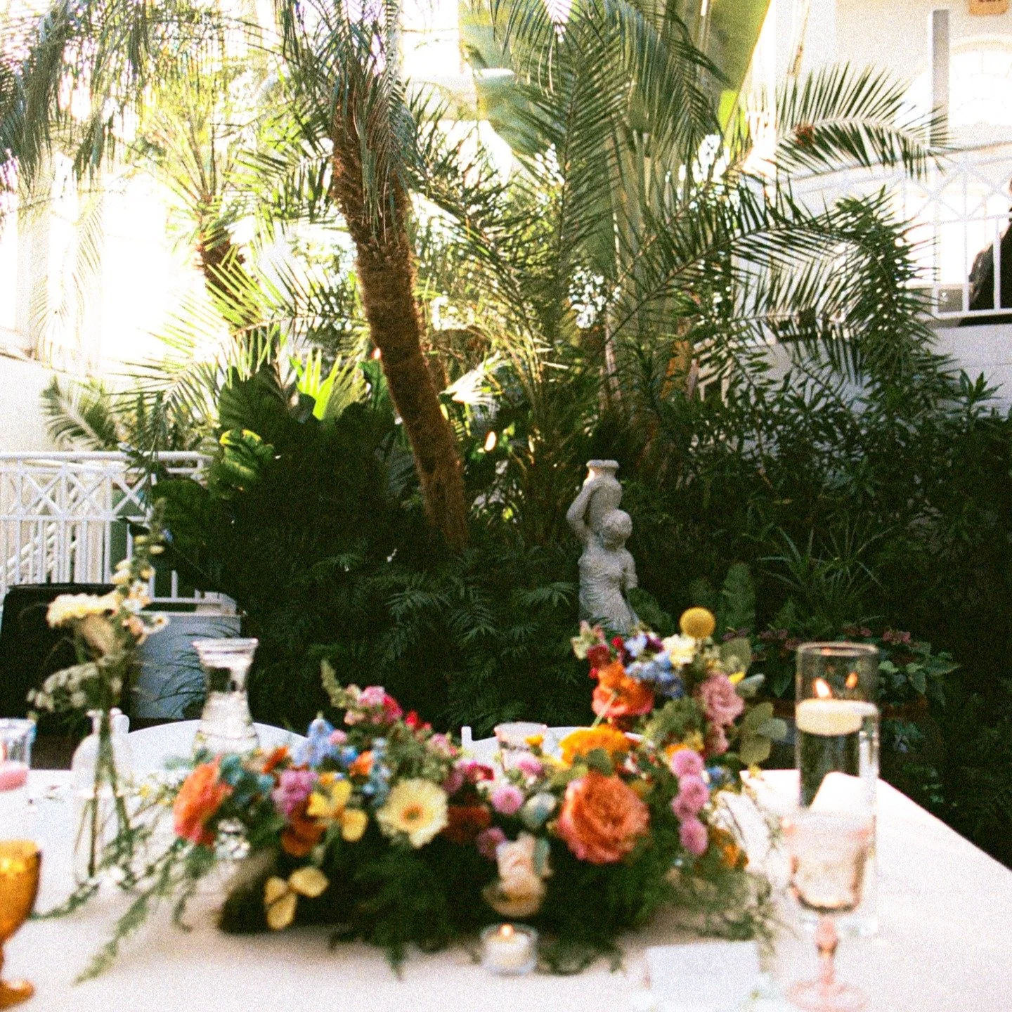 a whole post for the flowers. probably a few more coming, tbh: look at them!