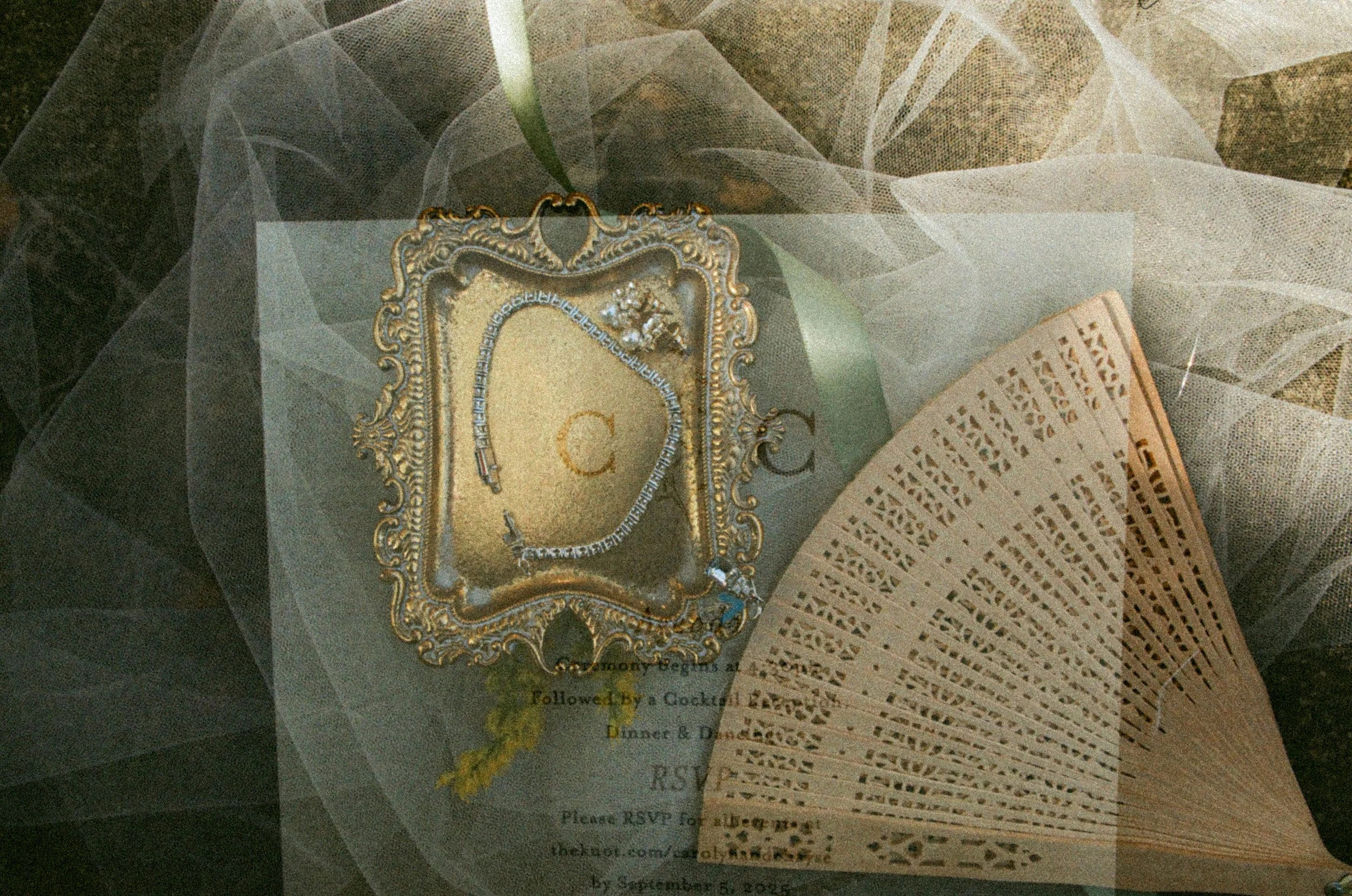 columbus ohio film photography-1.jpg