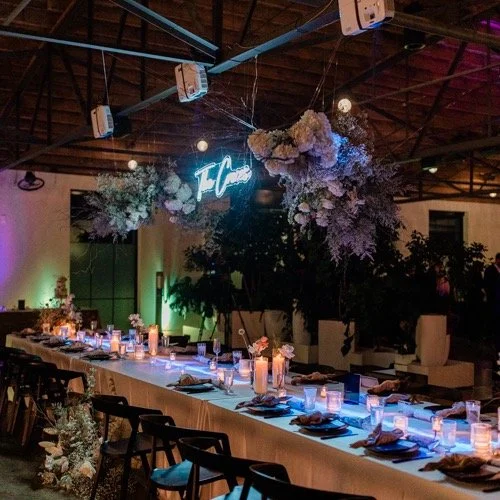 when Cat + Chris had their music lighting up the head table - their whole wedding was designed to perfection