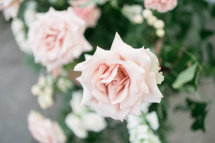 jessica love photography oak grove wedding jorgensen farms-10.jpg