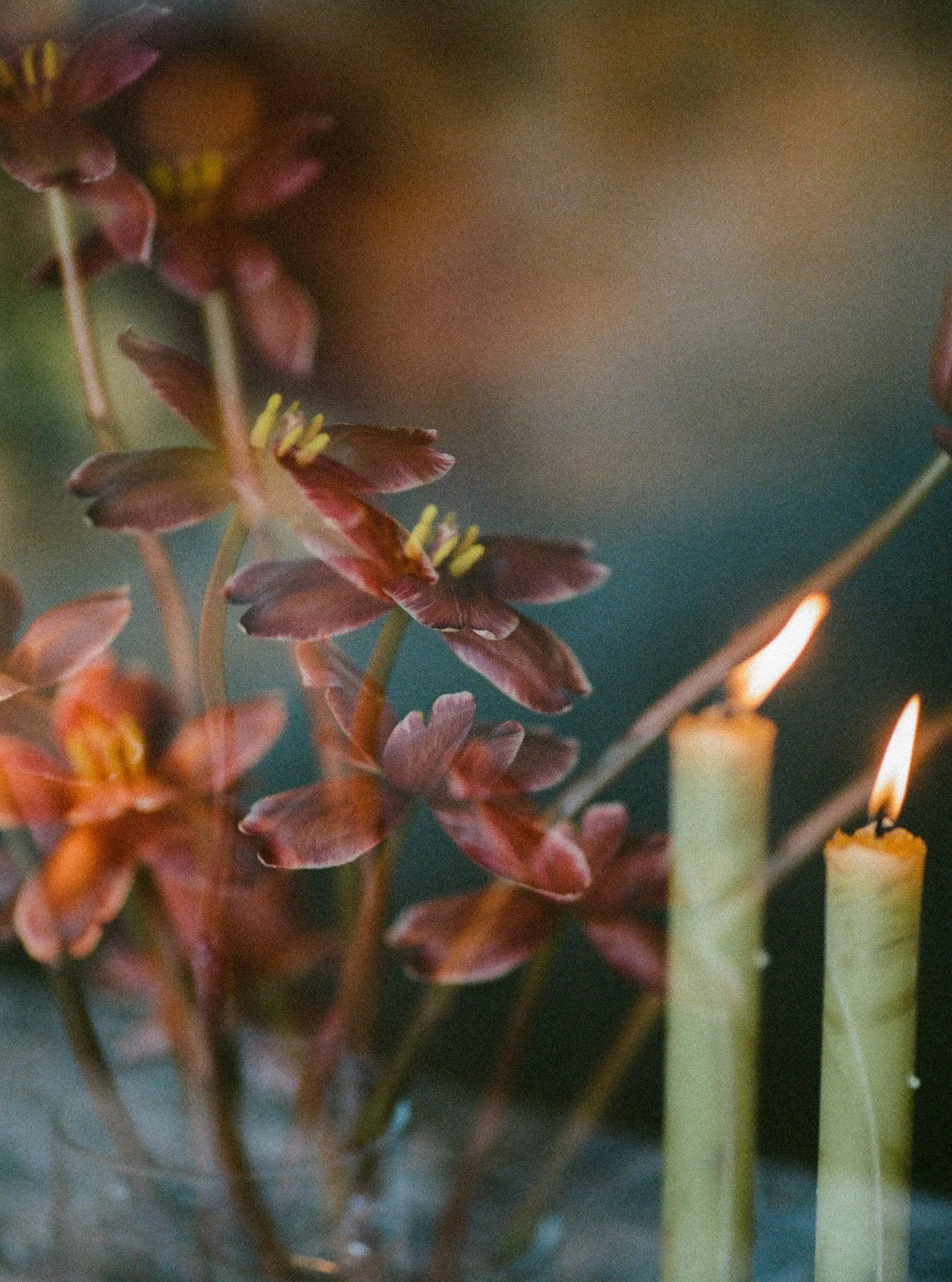 Film Shares from The Creative Summit back in January Creative Directors: @thecreativessummit
 Venue: @north4thcorridor
Ballerina: @abbigailbdance @studio1928_
 Bridal Attire: @whitebridalboutiques
 Cake: @spencerssugarshop
 Content Creation: @wedding