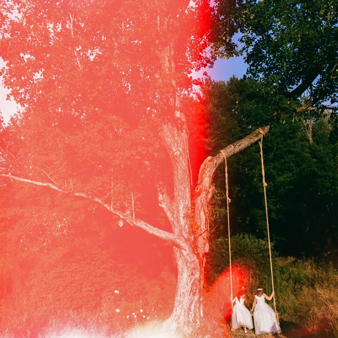 POV: IG grid hasn't changed since March 23, and now I just throw some film favorites together and say hi👋