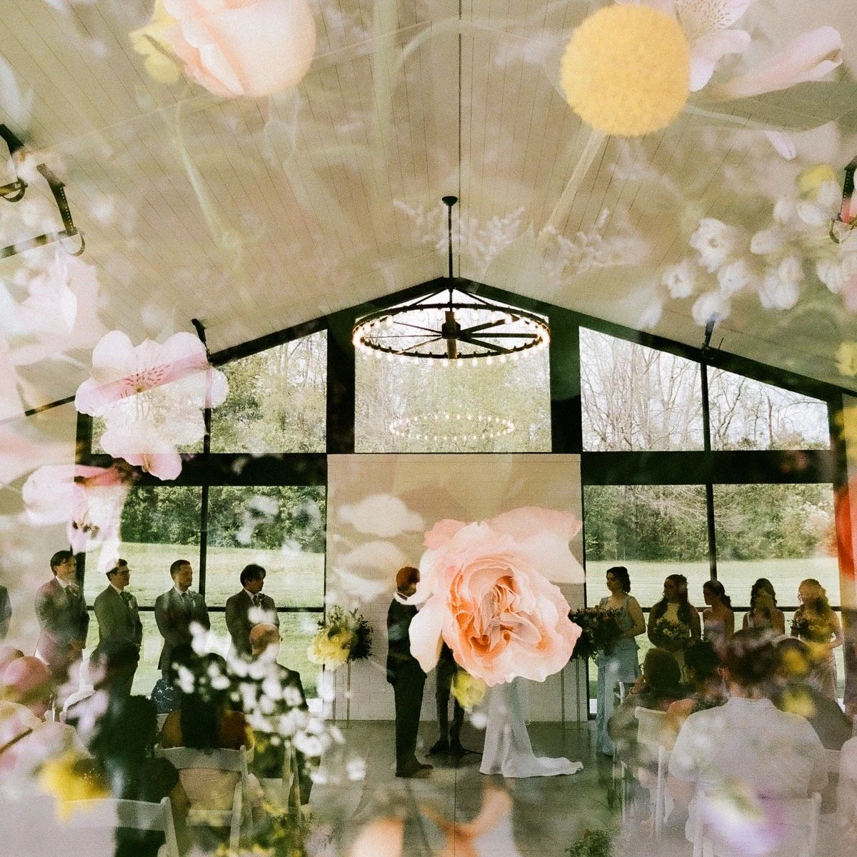 Some film from Anna + Jacob's @cliffsideacres Developed &amp; scanned by @thedarkroomlab