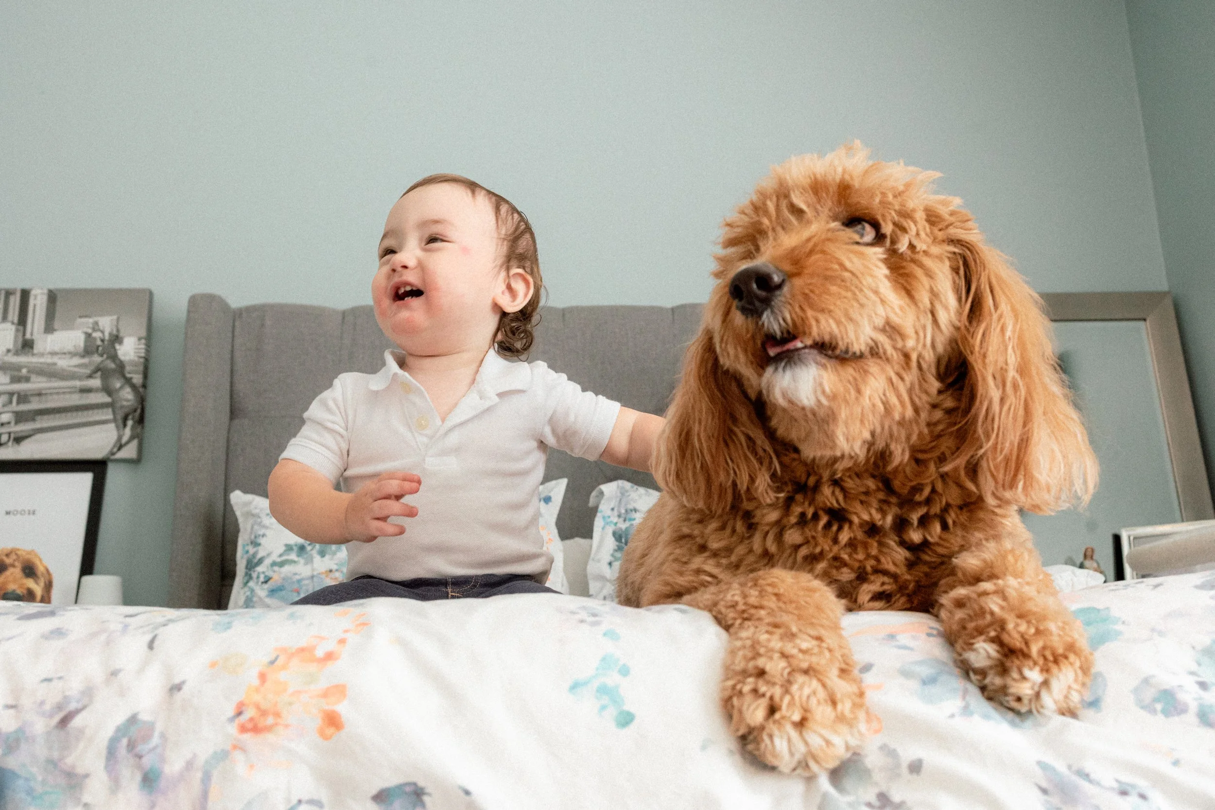 A young child and a large, fluffy, brown dog sitting on a bed.