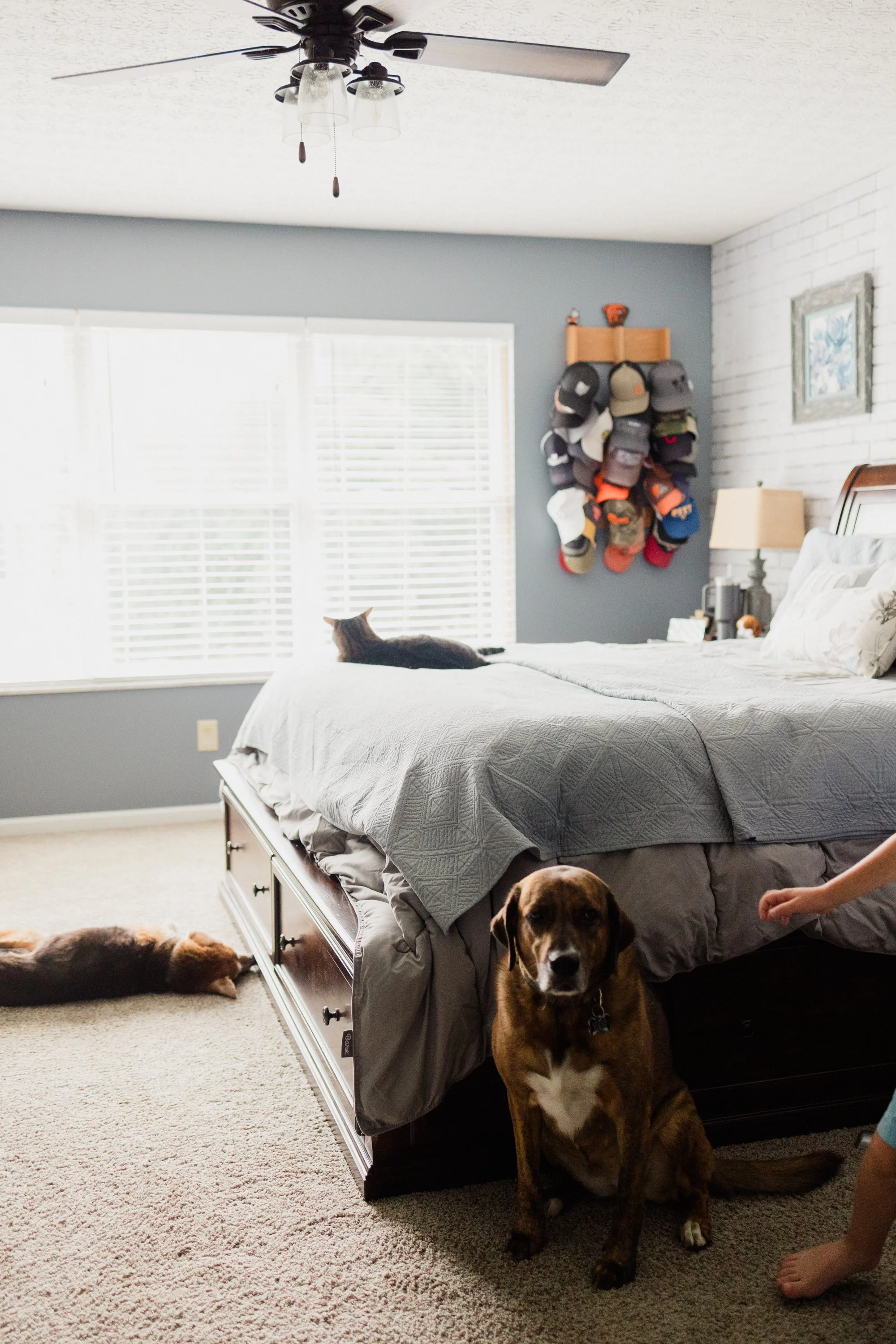 A bedroom with a large bed, a window with blinds, a ceiling fan, a wall with a hat rack, a table lamp, a framed picture, a dog sitting on the floor near the bed, a child’s hand reaching out, and a cat lying on top of the bed.