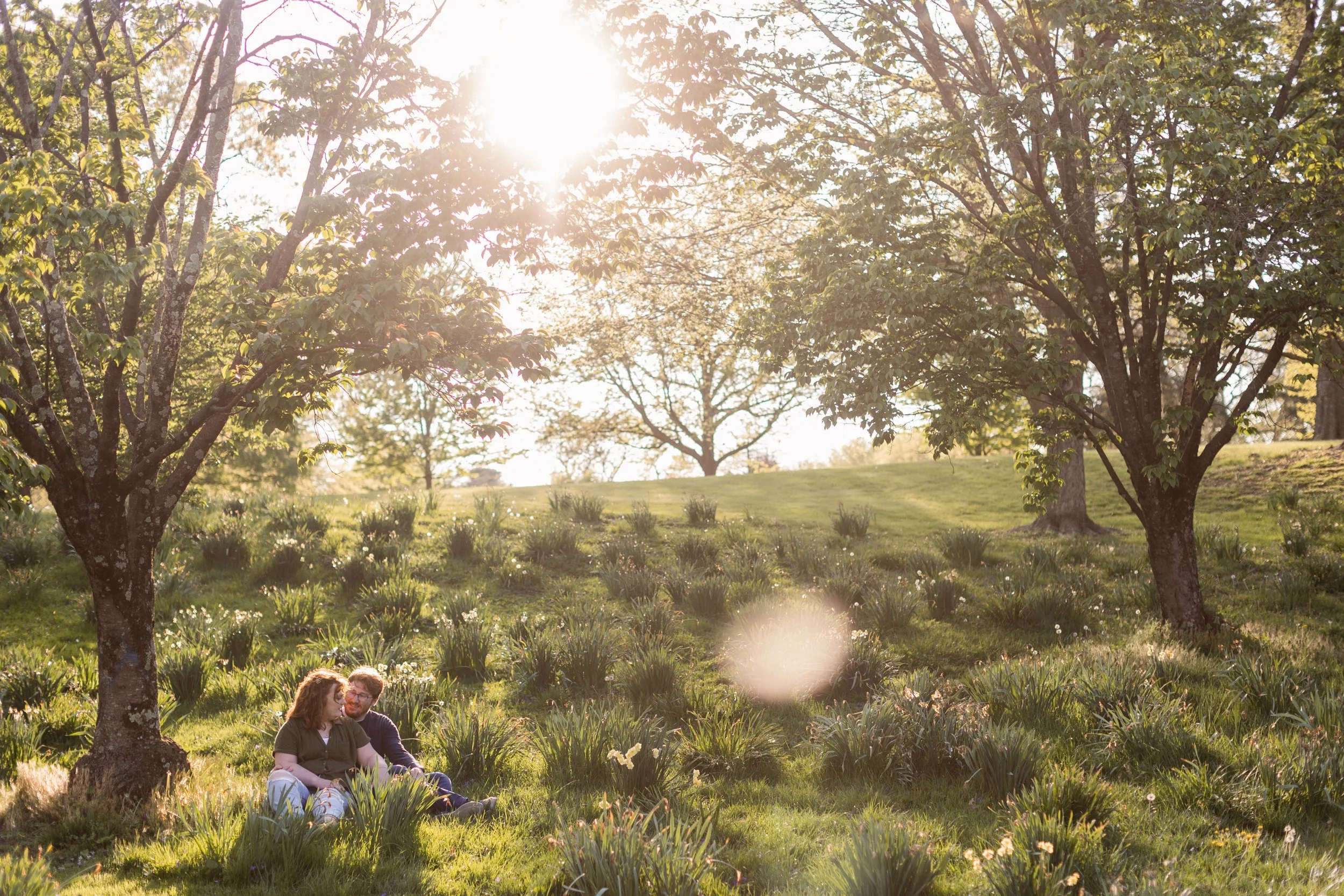 A couple sitting on grass under trees in a park on a sunny day.
