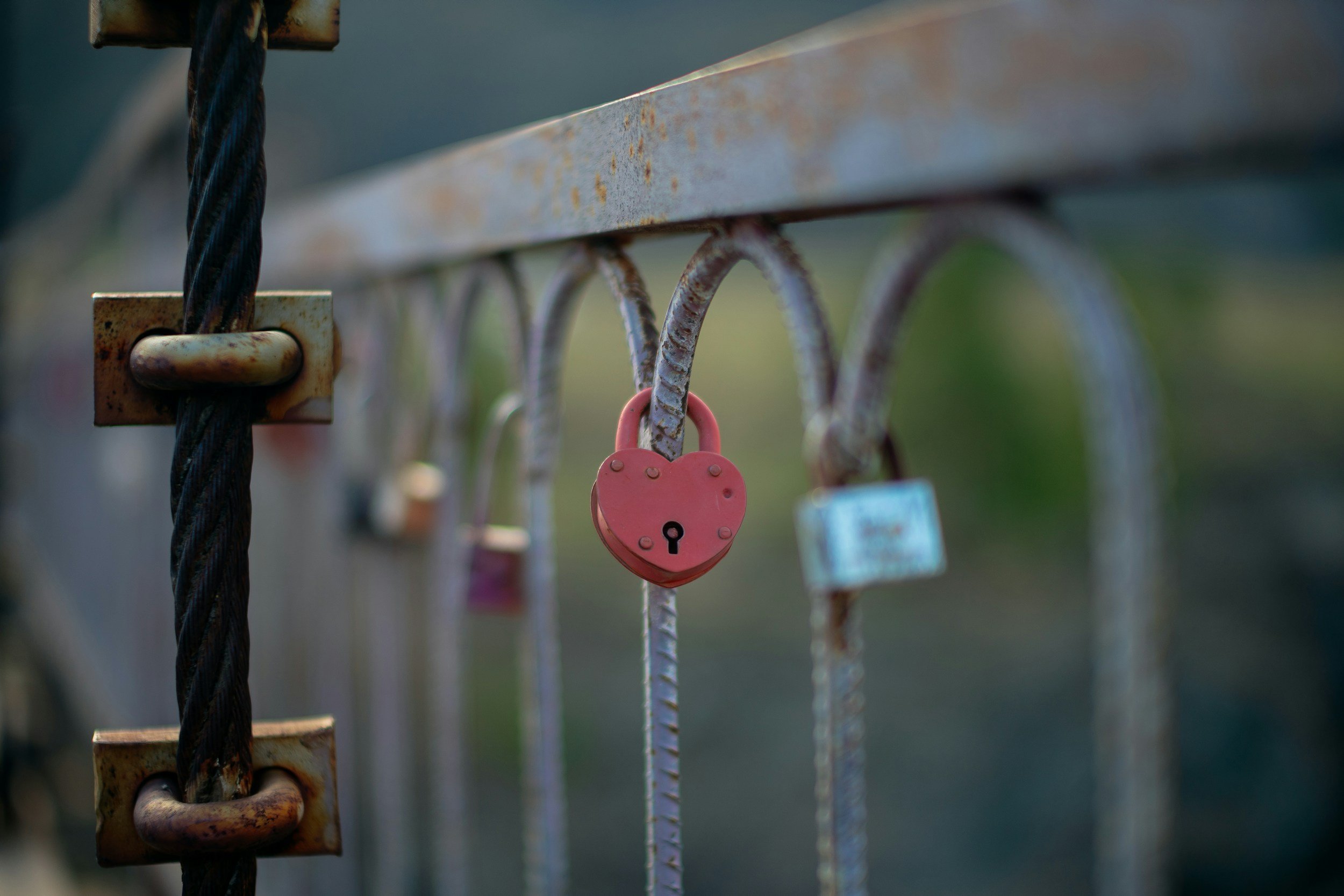 Close-up of a rusted metal fence with several padlocks attached, including a pink heart-shaped lock, with a blurred background.