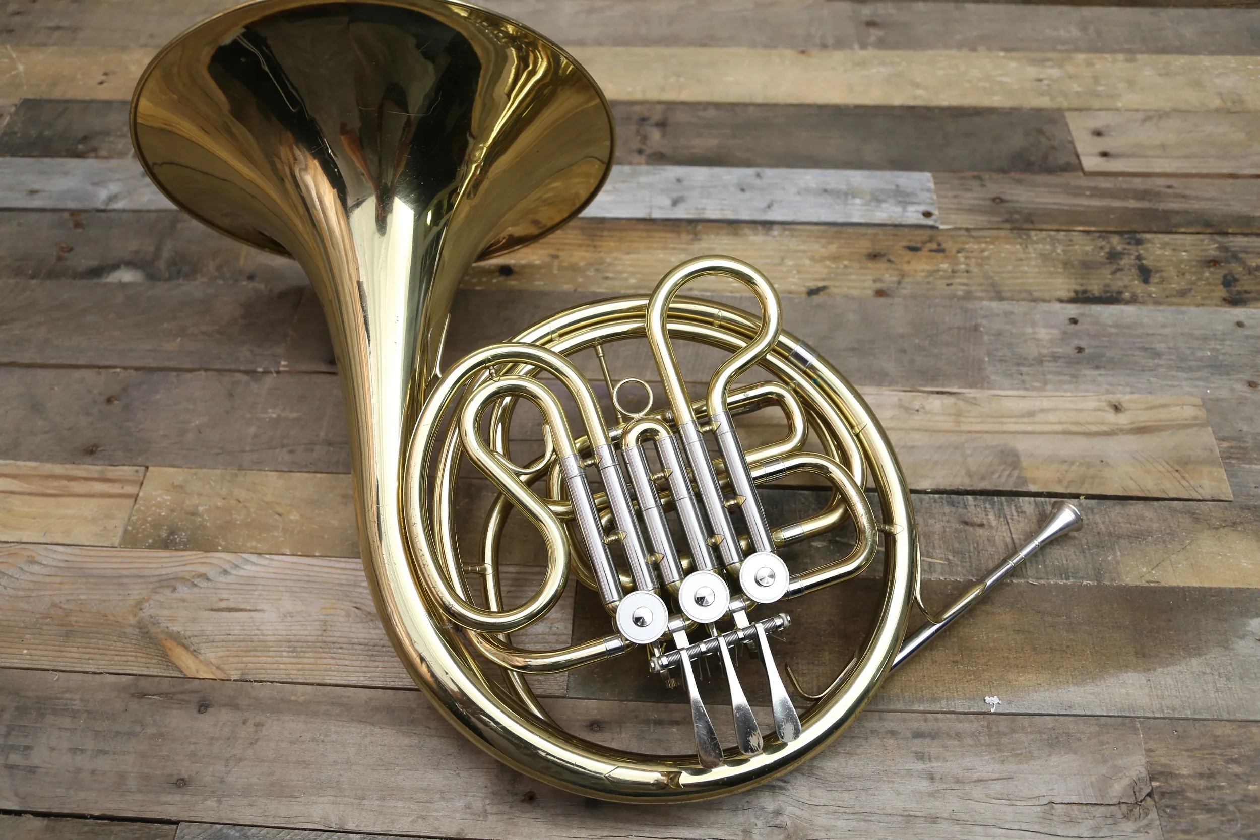 french_horn.jpg.webp