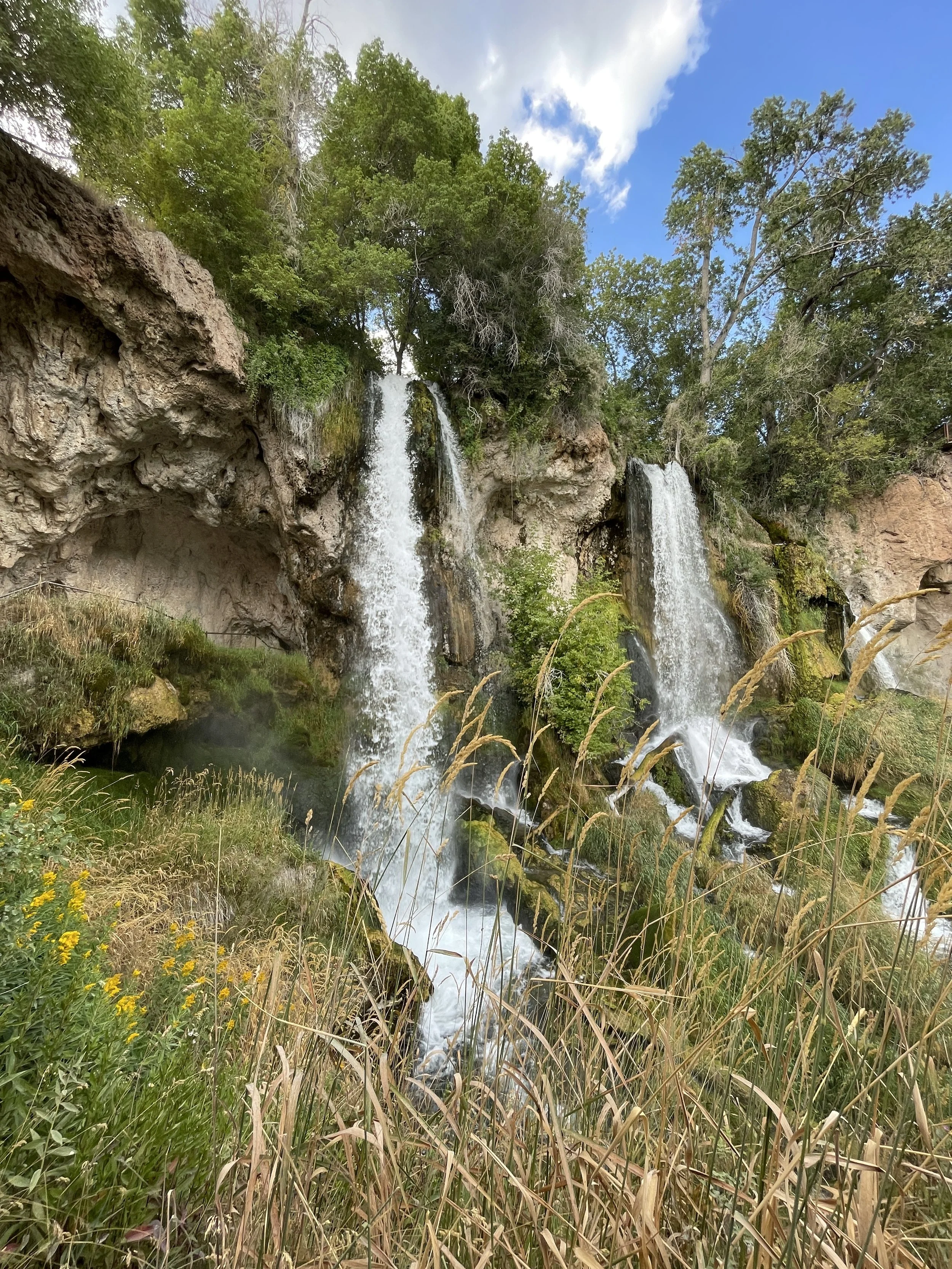 IMG_7876.jpeg