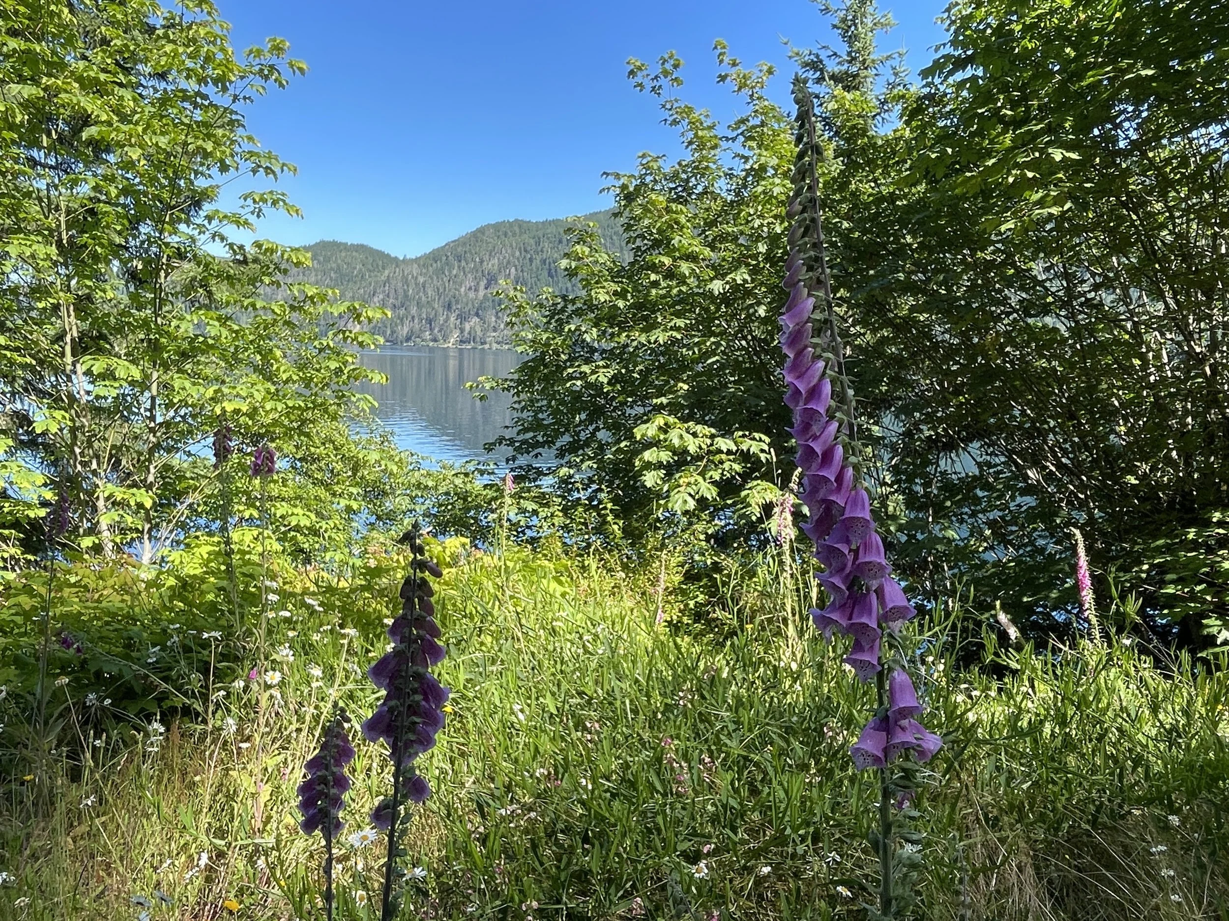 IMG_6725.jpeg