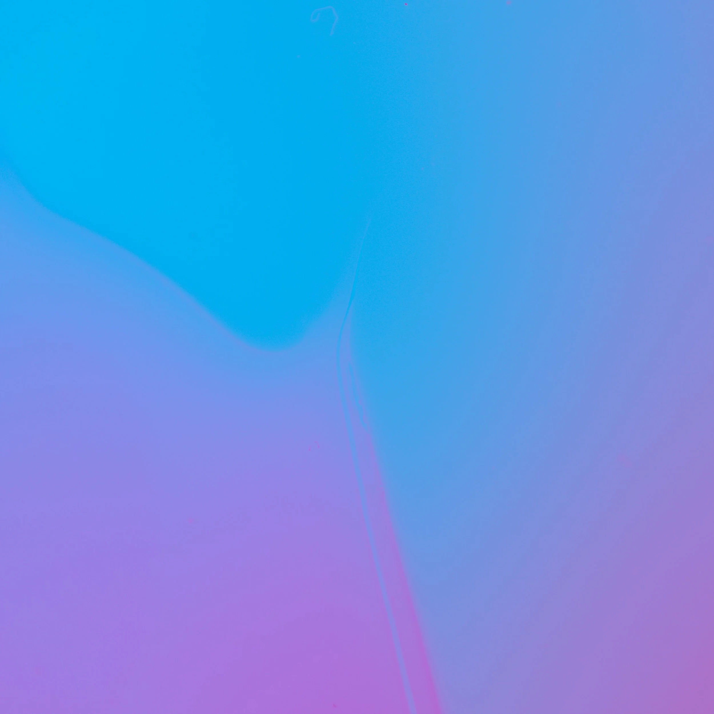 bodegones2 (1 de 1).jpg