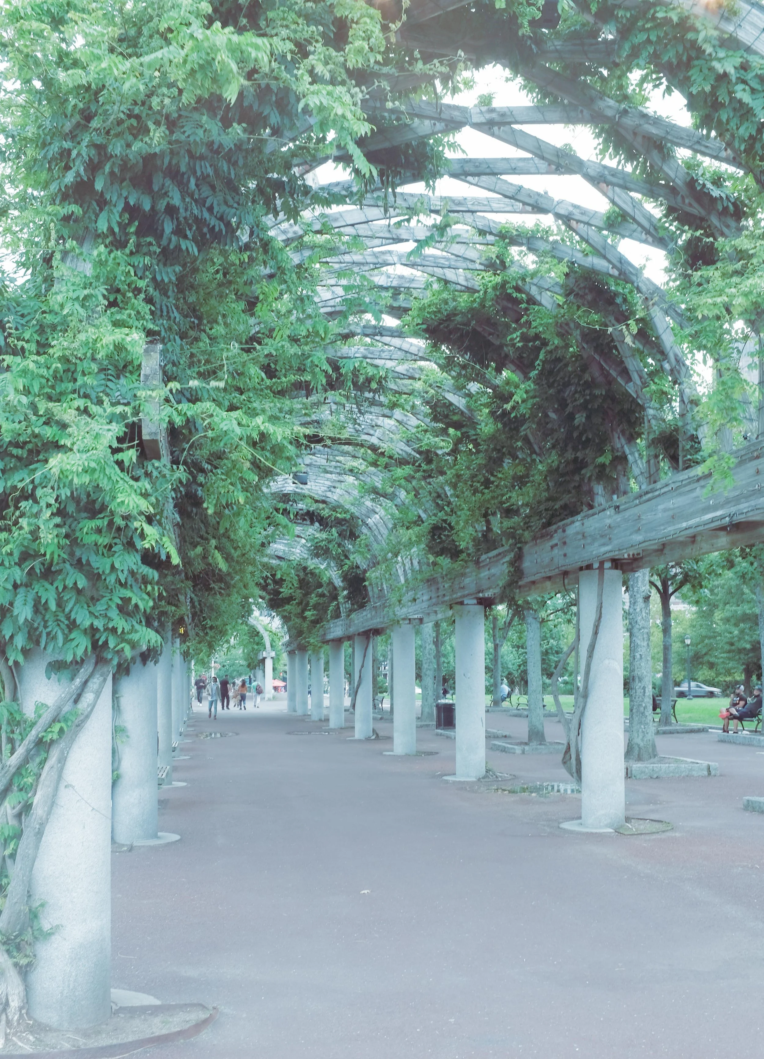 Arcos y jardines.jpg