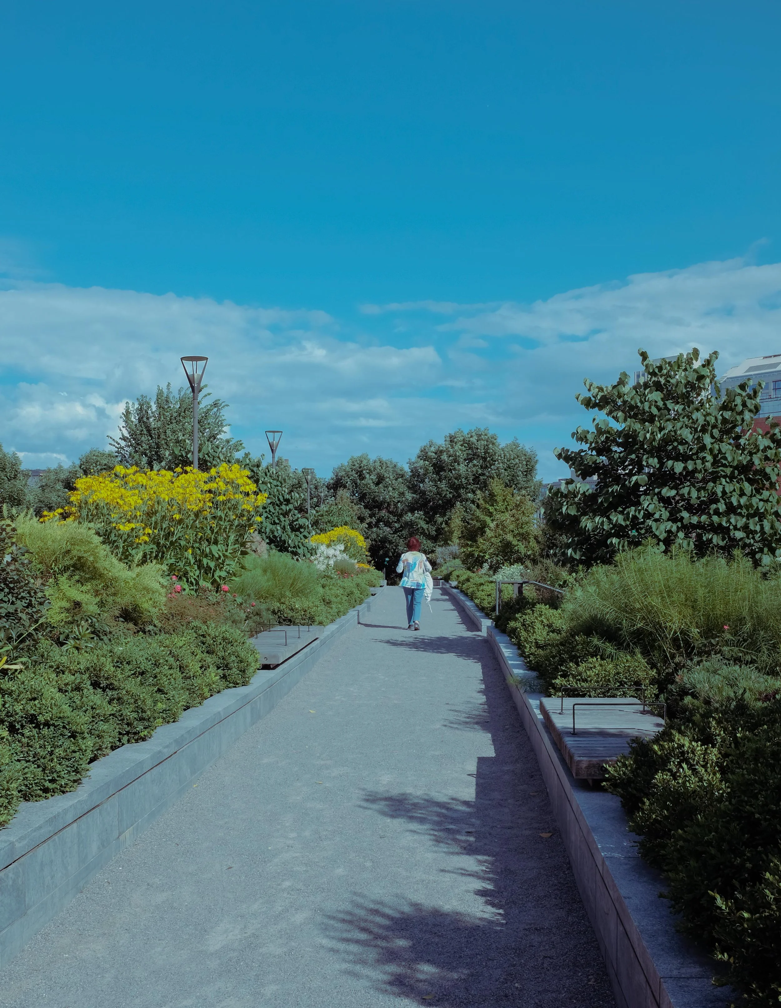 Jardines en verano.jpg