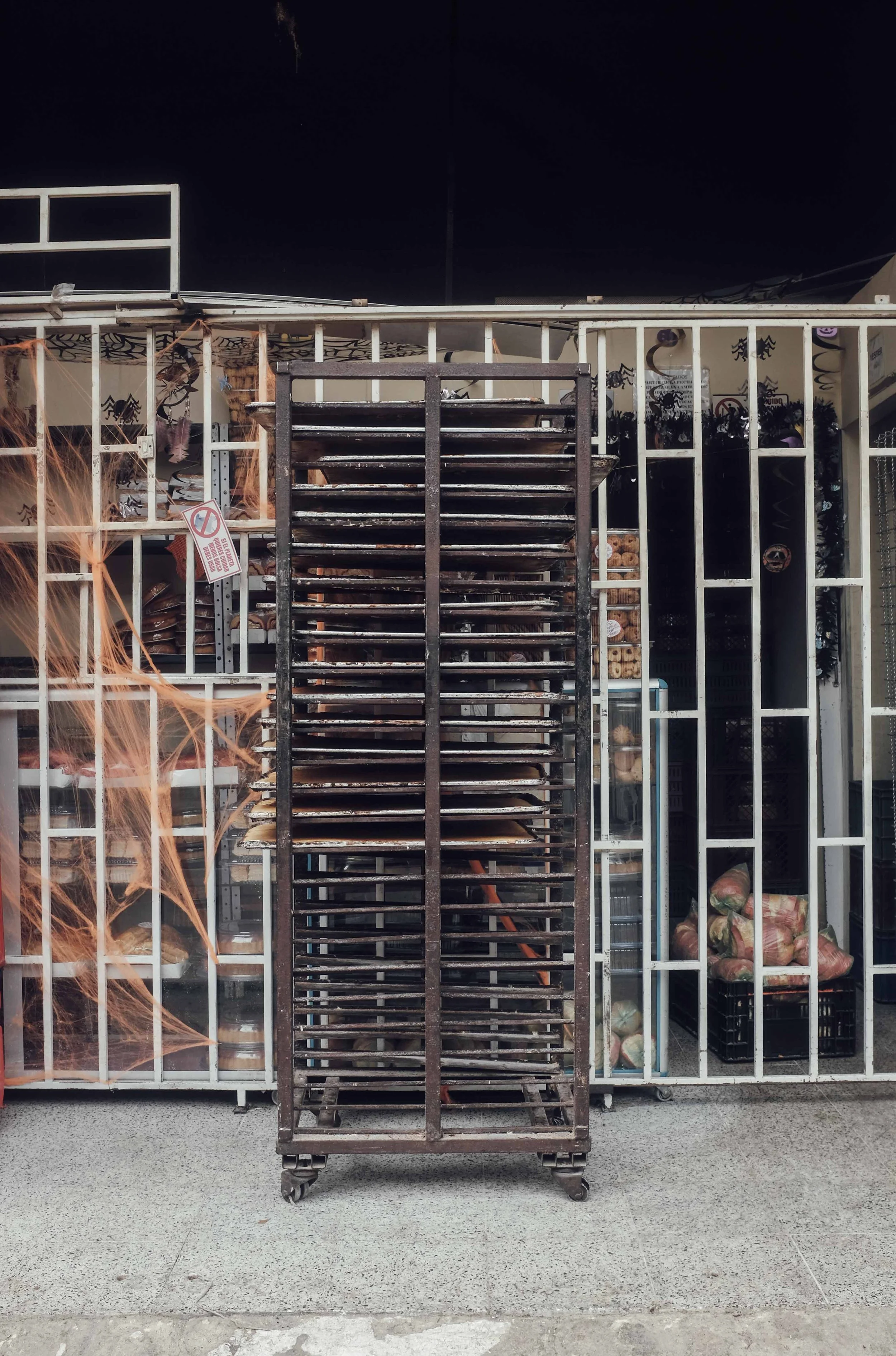 CamilaAstorquiza (4 de 25).jpg