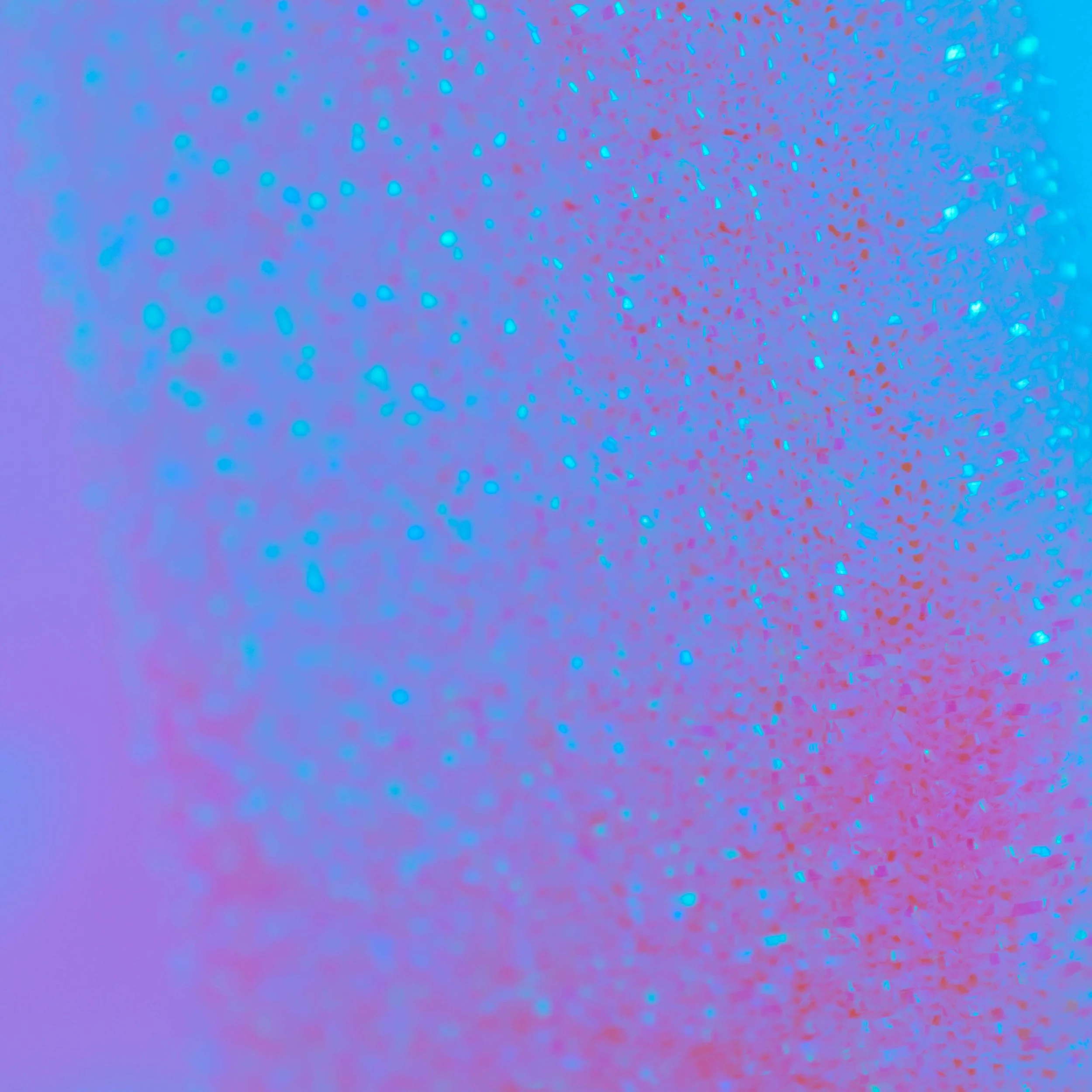 bodegones1 (1 de 1).jpg