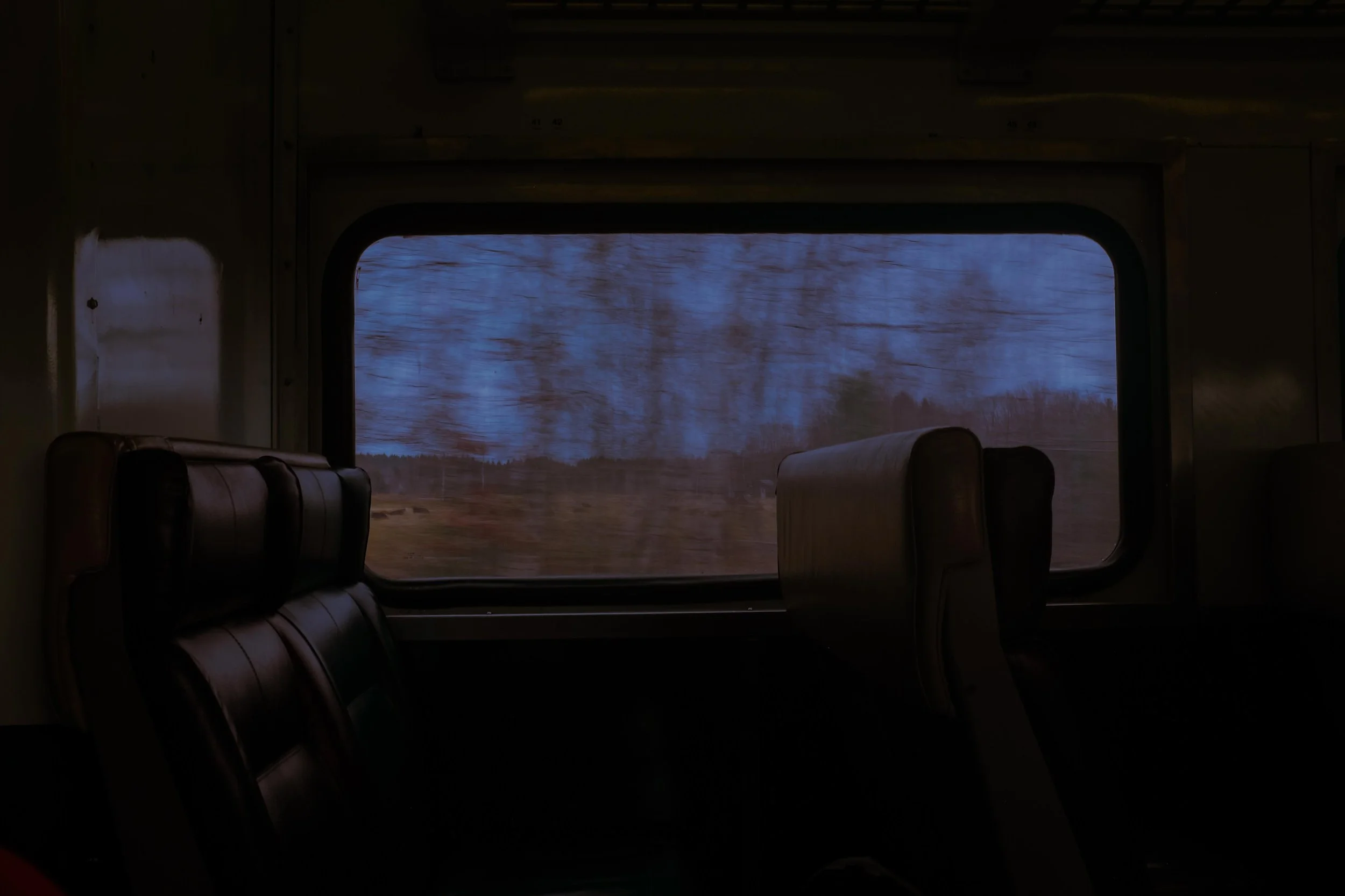 Tren en el bosque.jpg