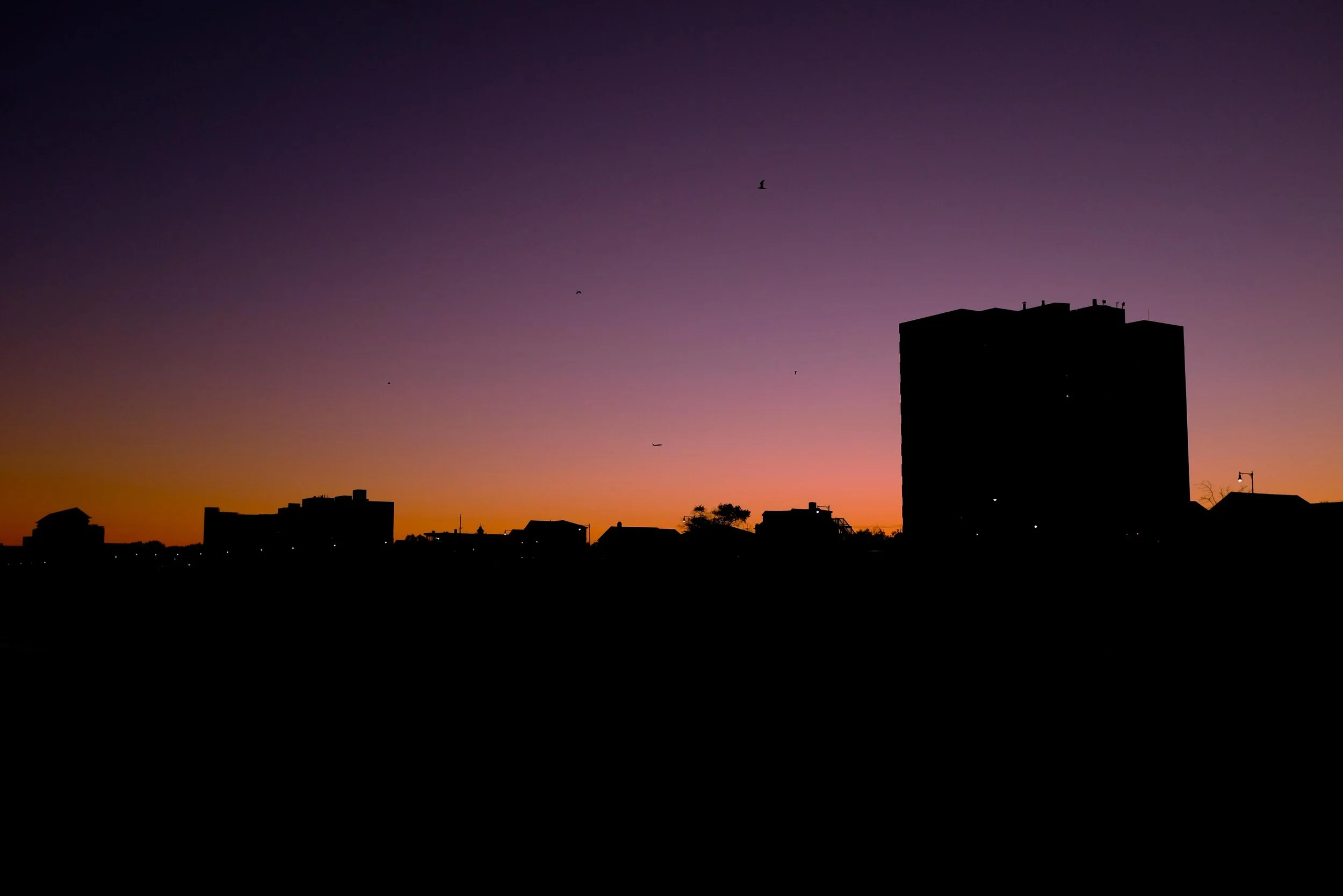 Atardecer y siluetas.jpg