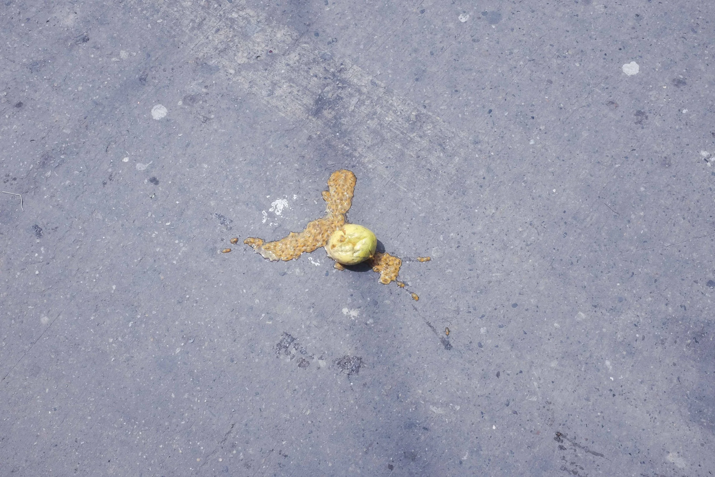 CamilaAstorquiza (7 de 25).jpg