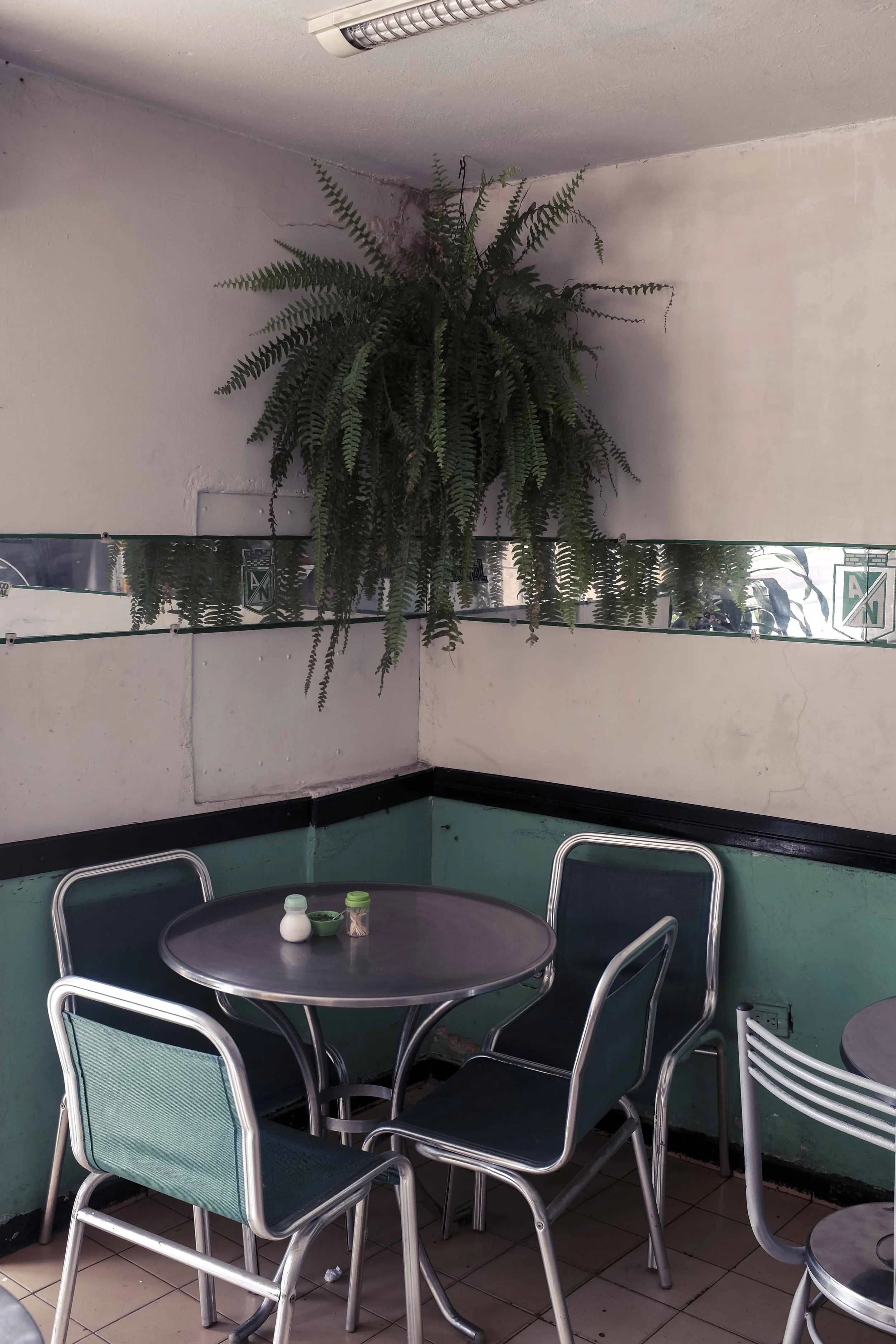 CamilaAstorquiza (15 de 25).jpg