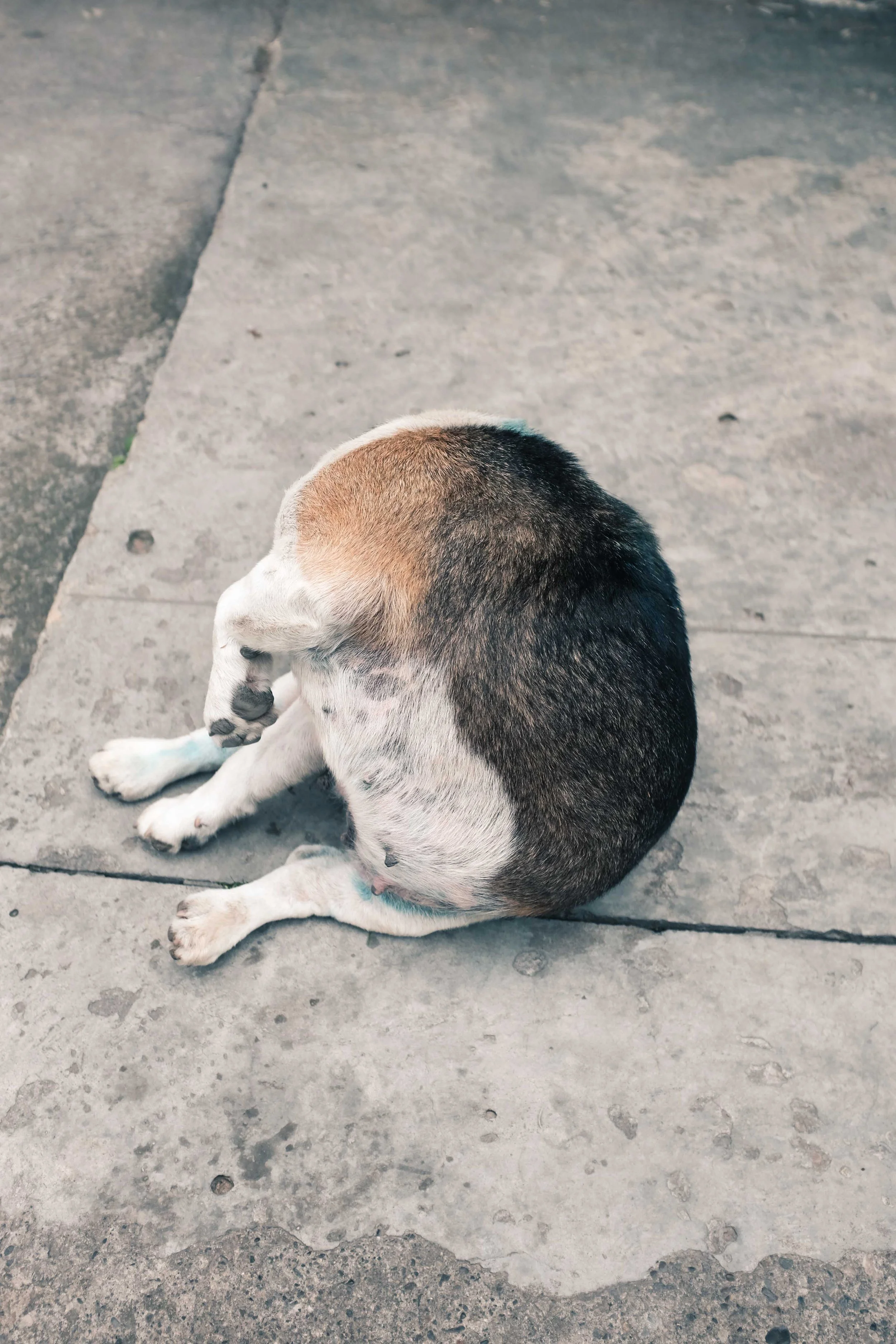 photofounding-15.jpg