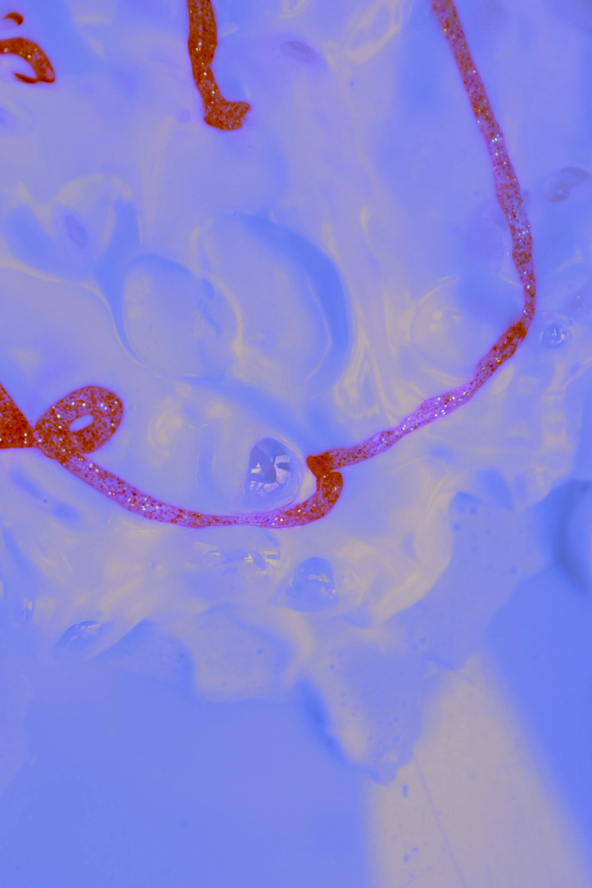 bodegones (1 de 1).jpg