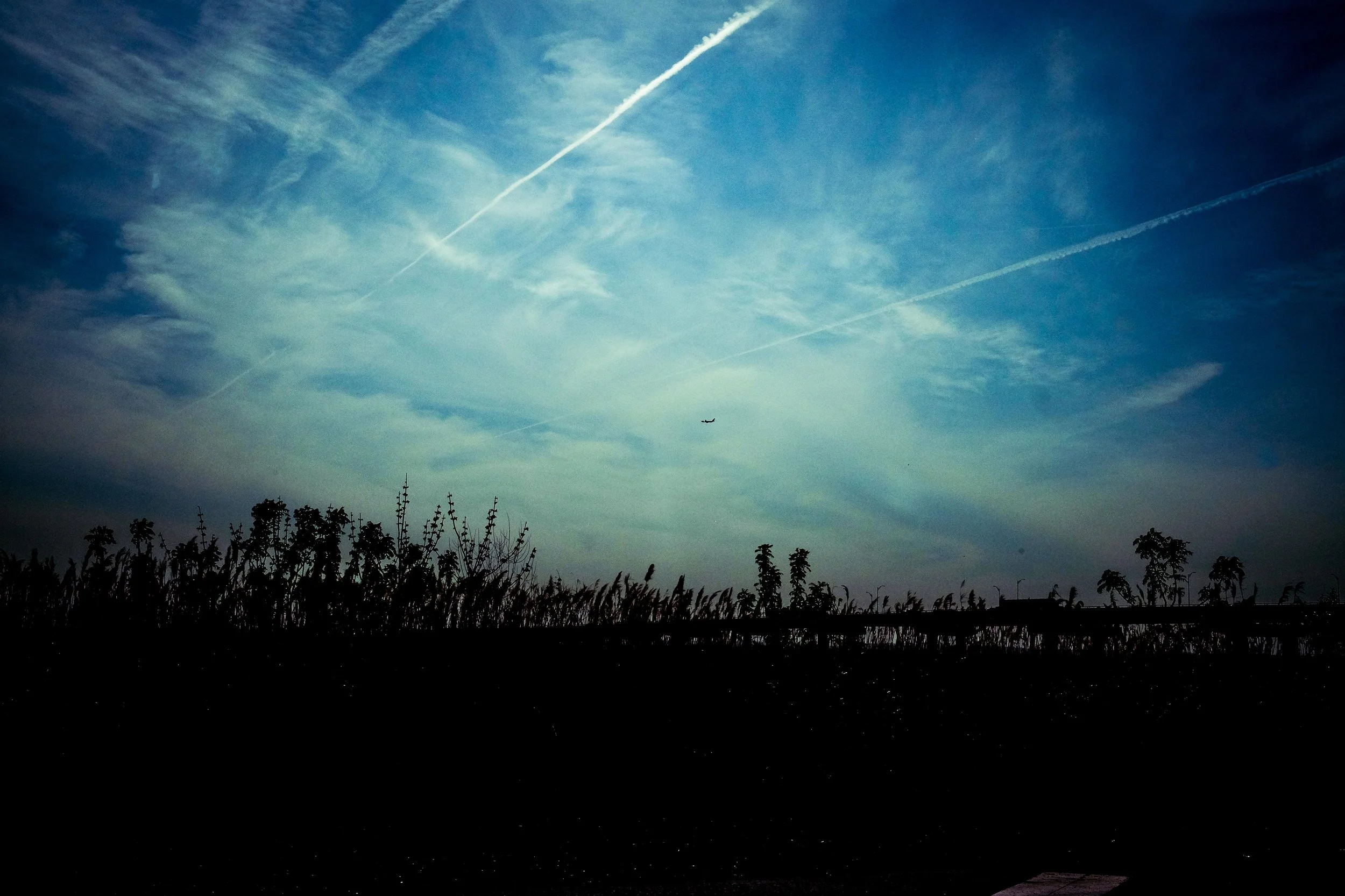 DSCF0059-7.jpg