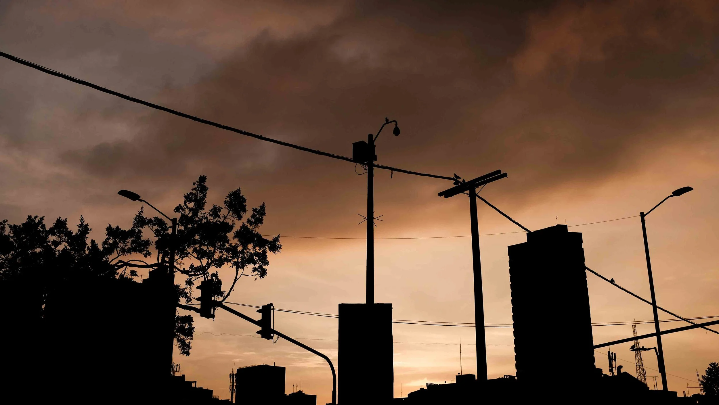 DSCF9556.jpg