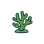 Aurora Acro