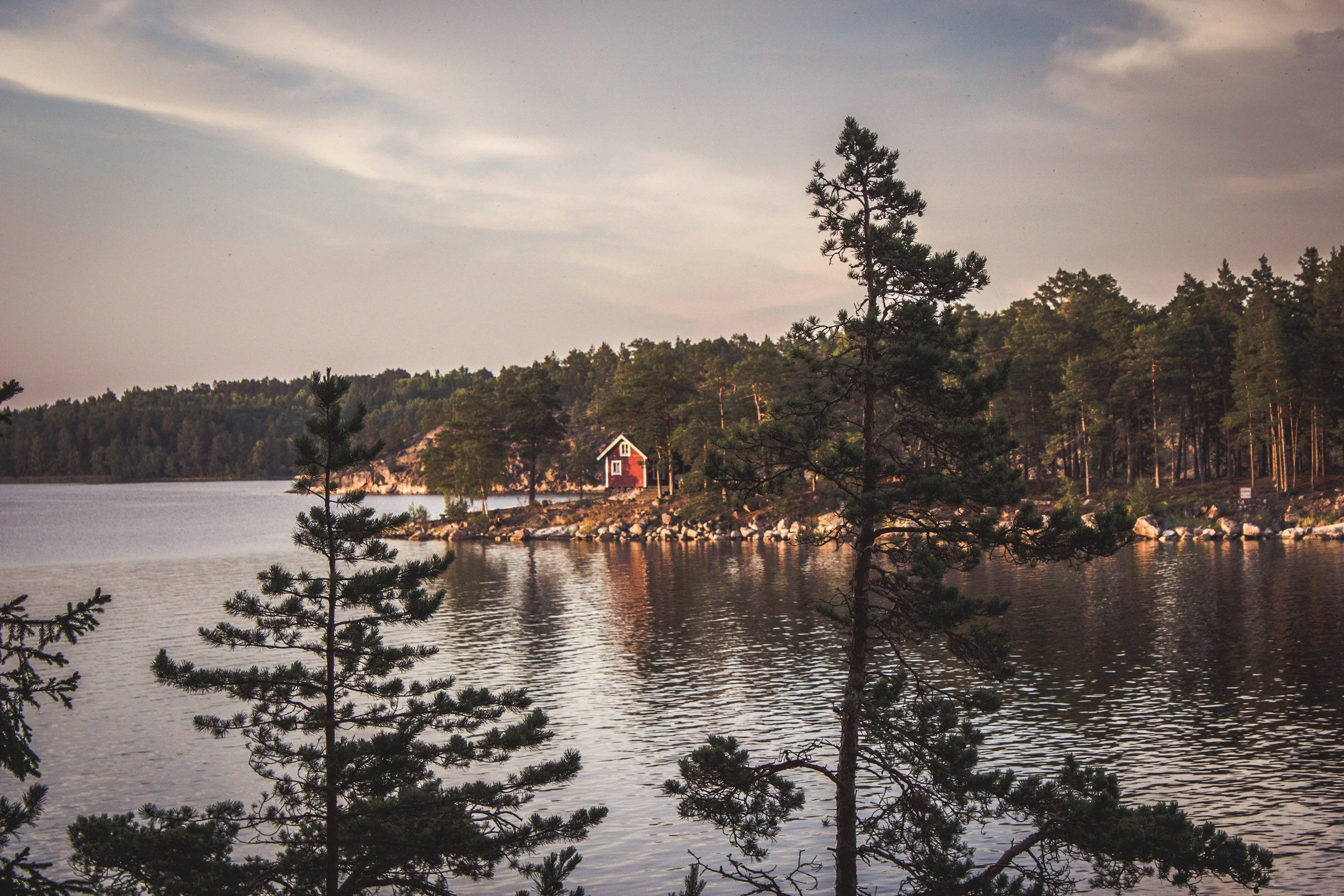 unsplash-image-IAe4R_RiB08.jpg
