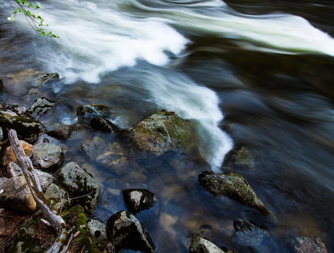Fast-moving river with rocks and pebbles along the shore, with some moss and a small piece of driftwood.
