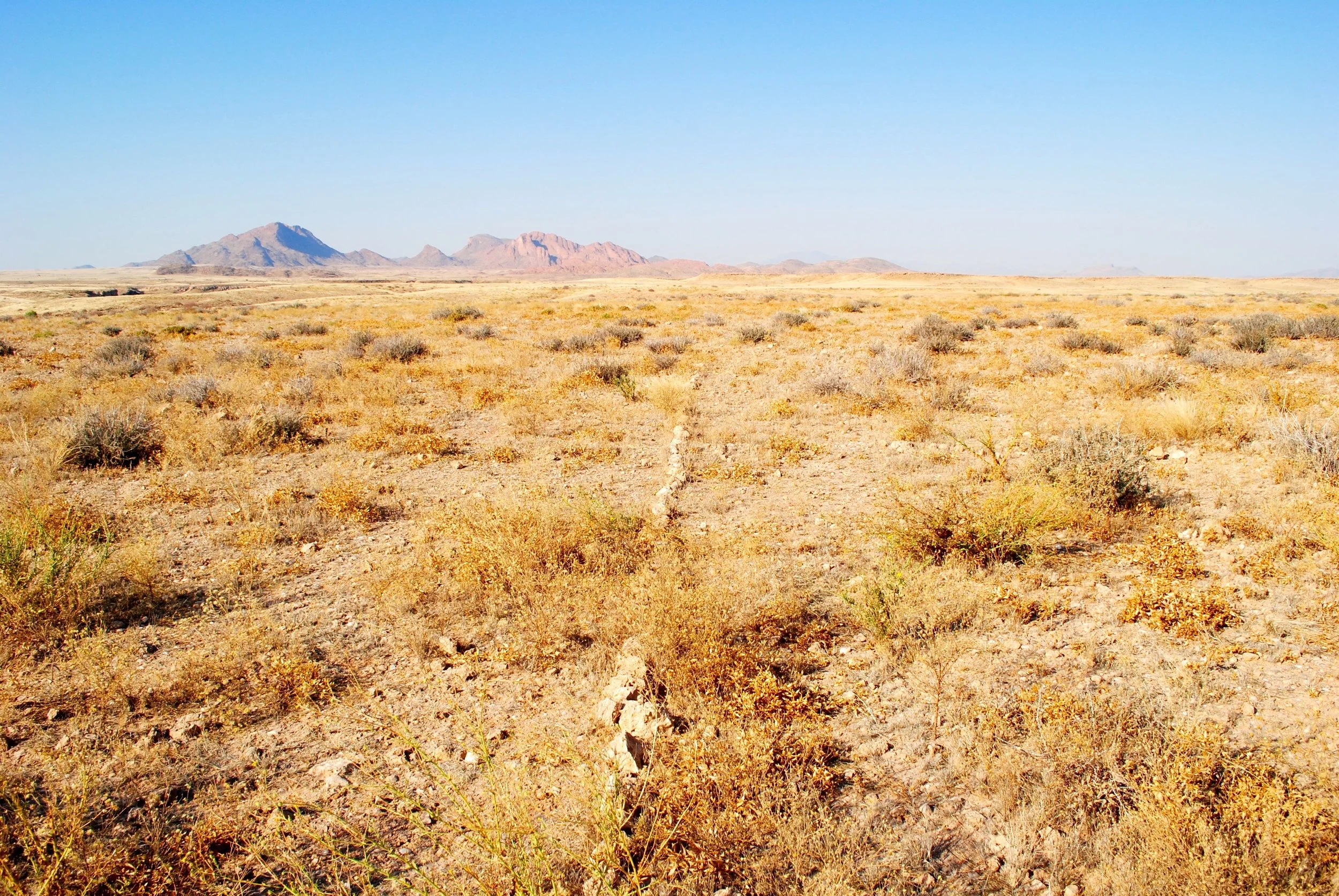A wide desert landscape with sparse vegetation and distant mountains under a clear blue sky.