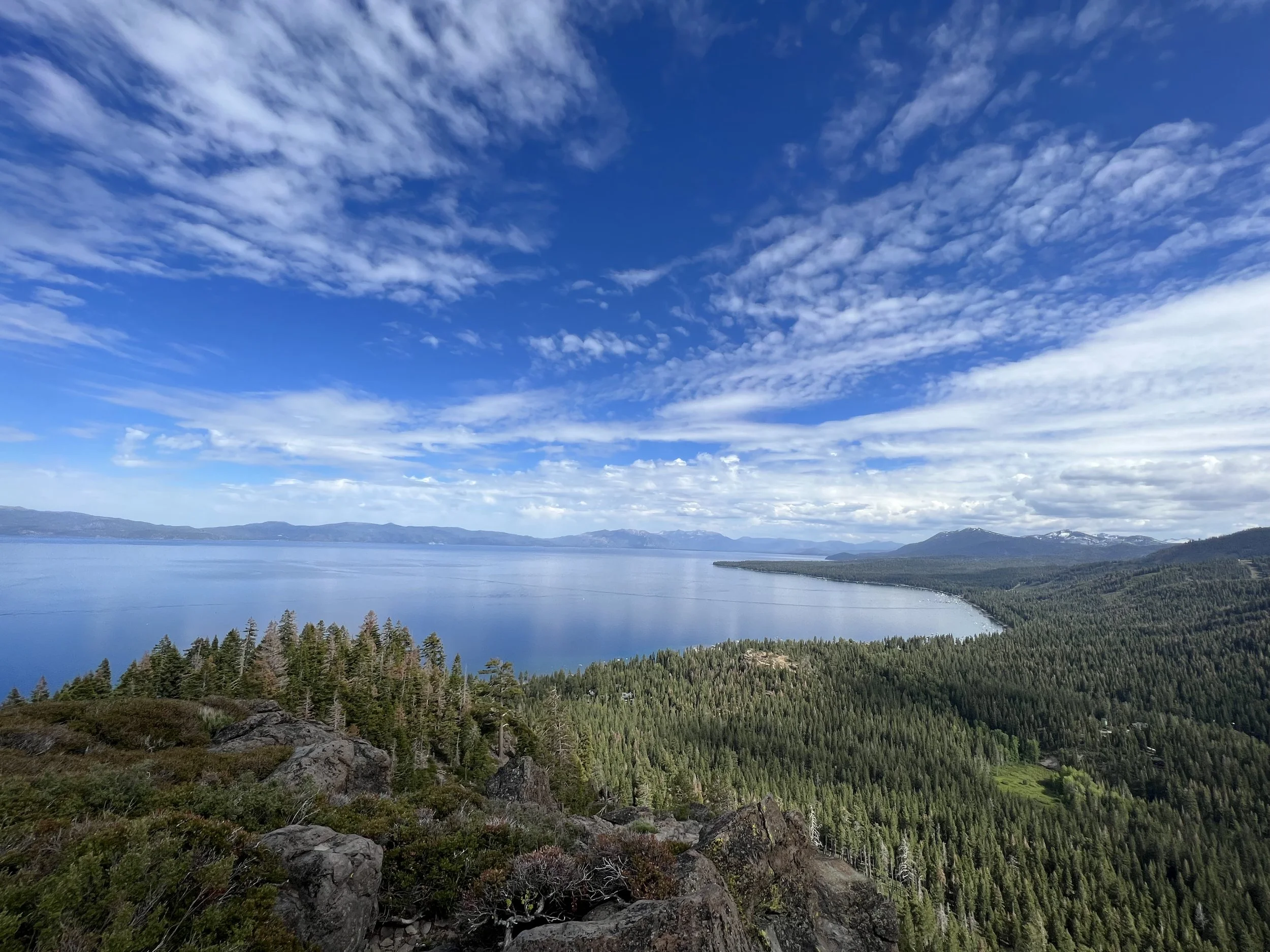 A scenic view of a large lake surrounded by dense pine forests, with mountains in the background under a partly cloudy blue sky.