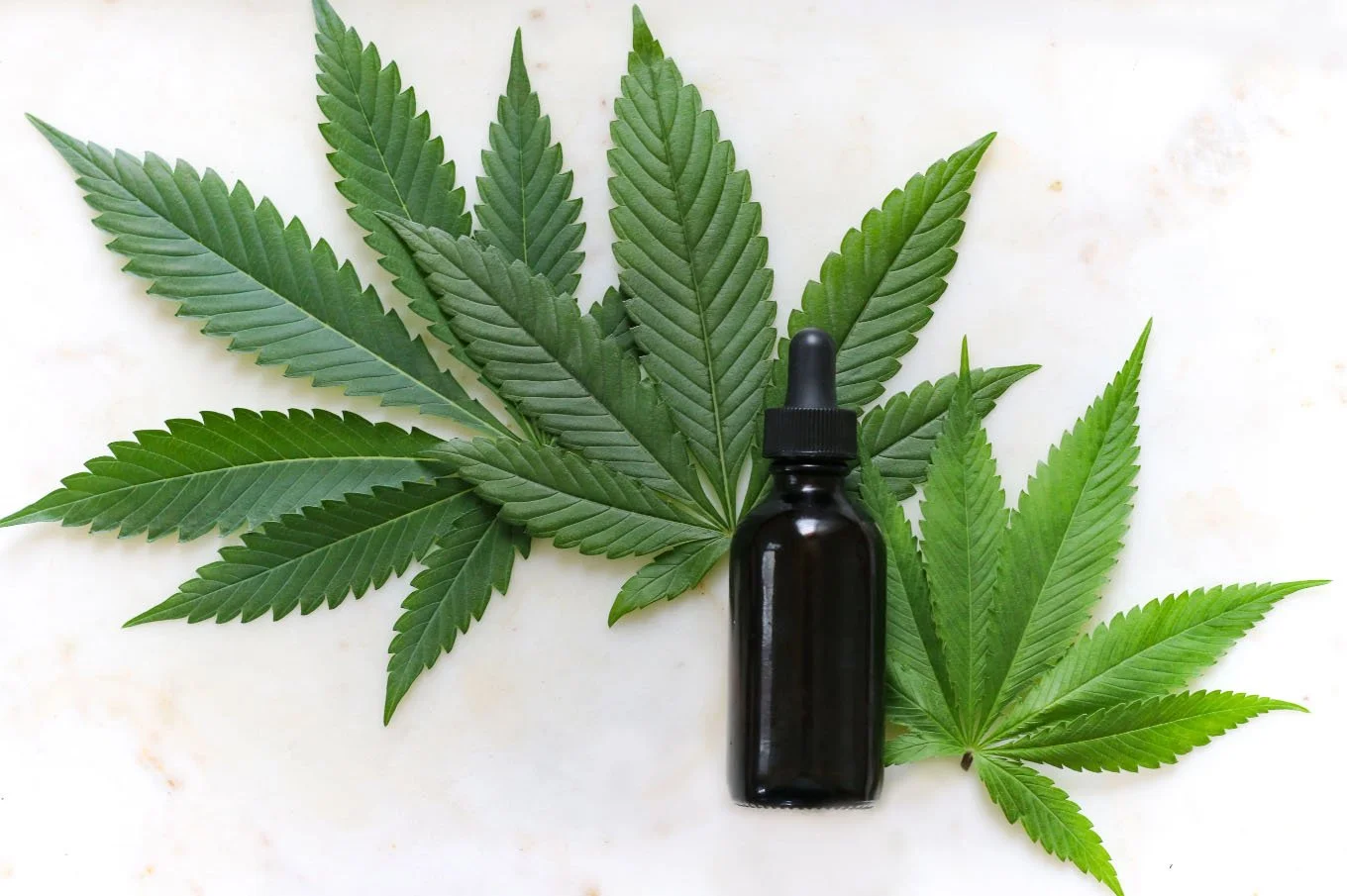 A black dropper bottle placed among large green cannabis leaves on a white background.