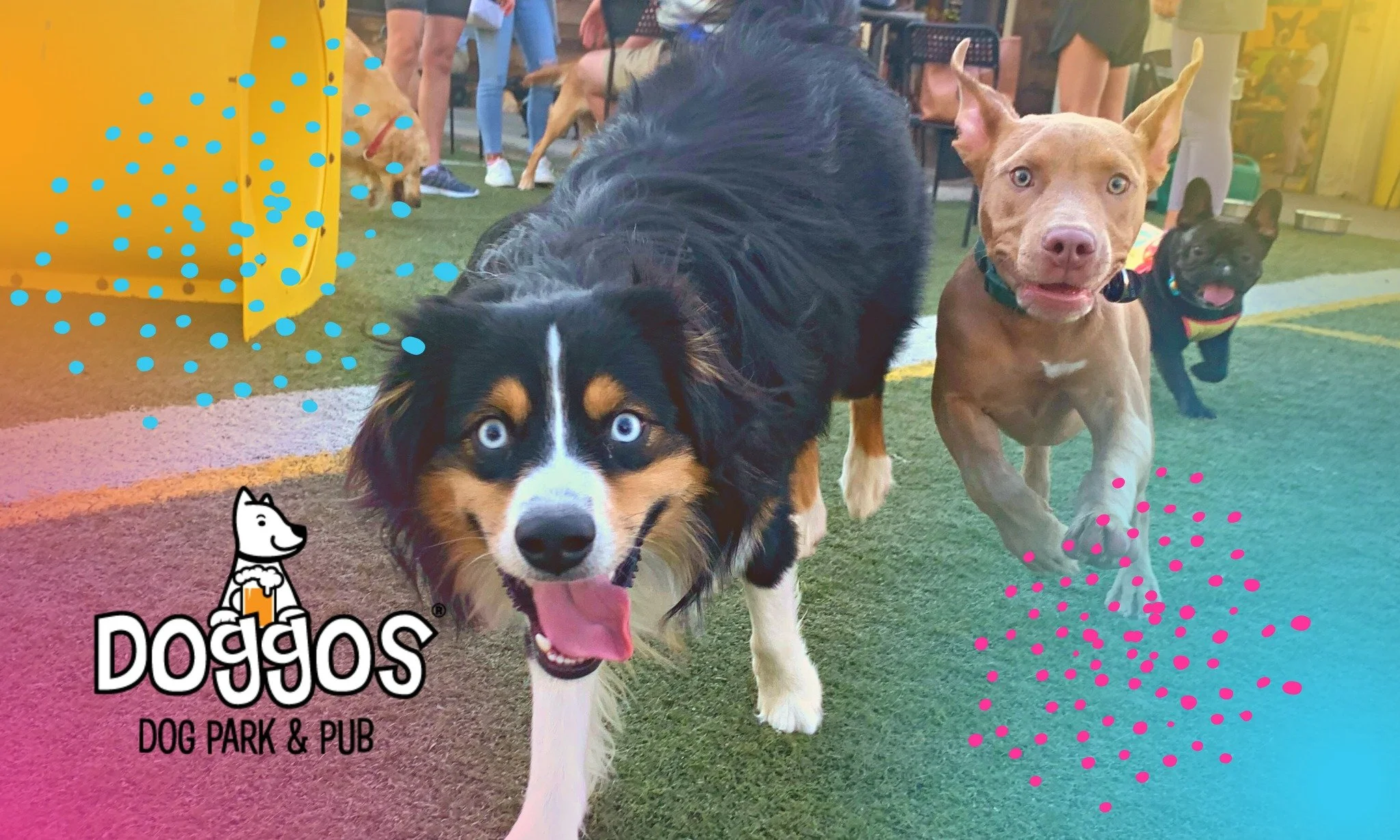 Doggos Dog Park and Pub Fall Vendor Market