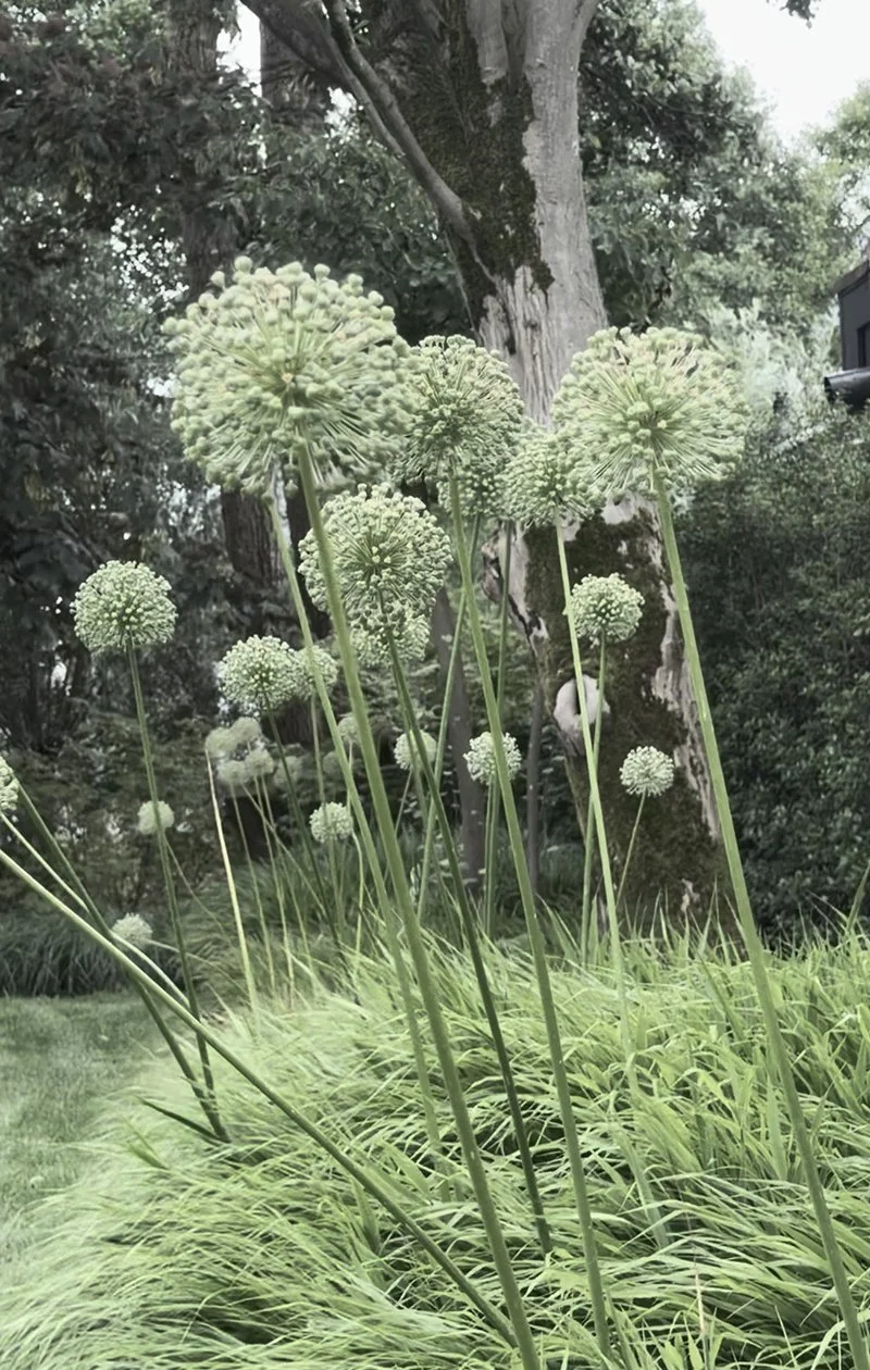 Layers of green