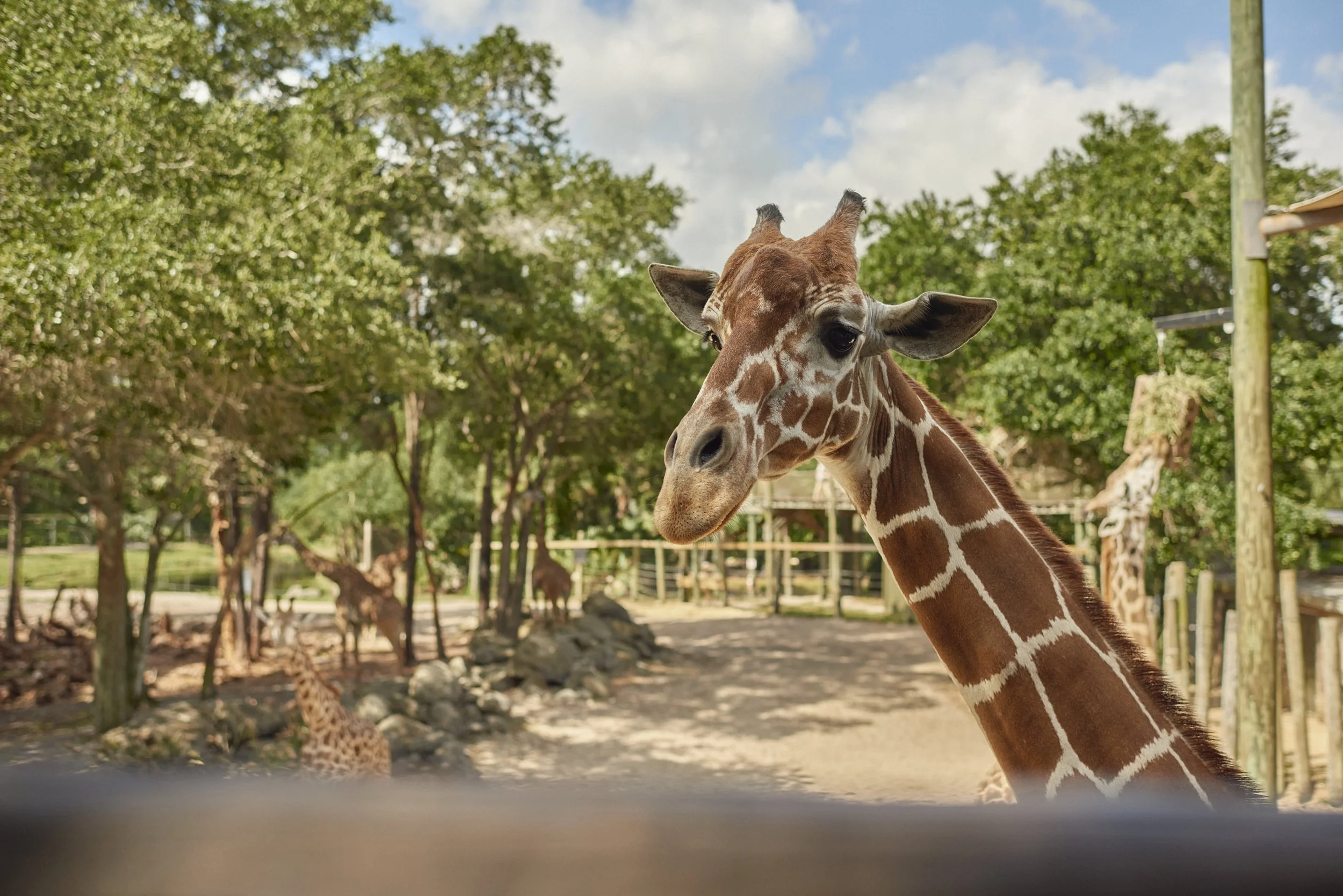 2608-Nick-Pecori-Archive-2022-Space-Coast-of-Tourism-6.jpg