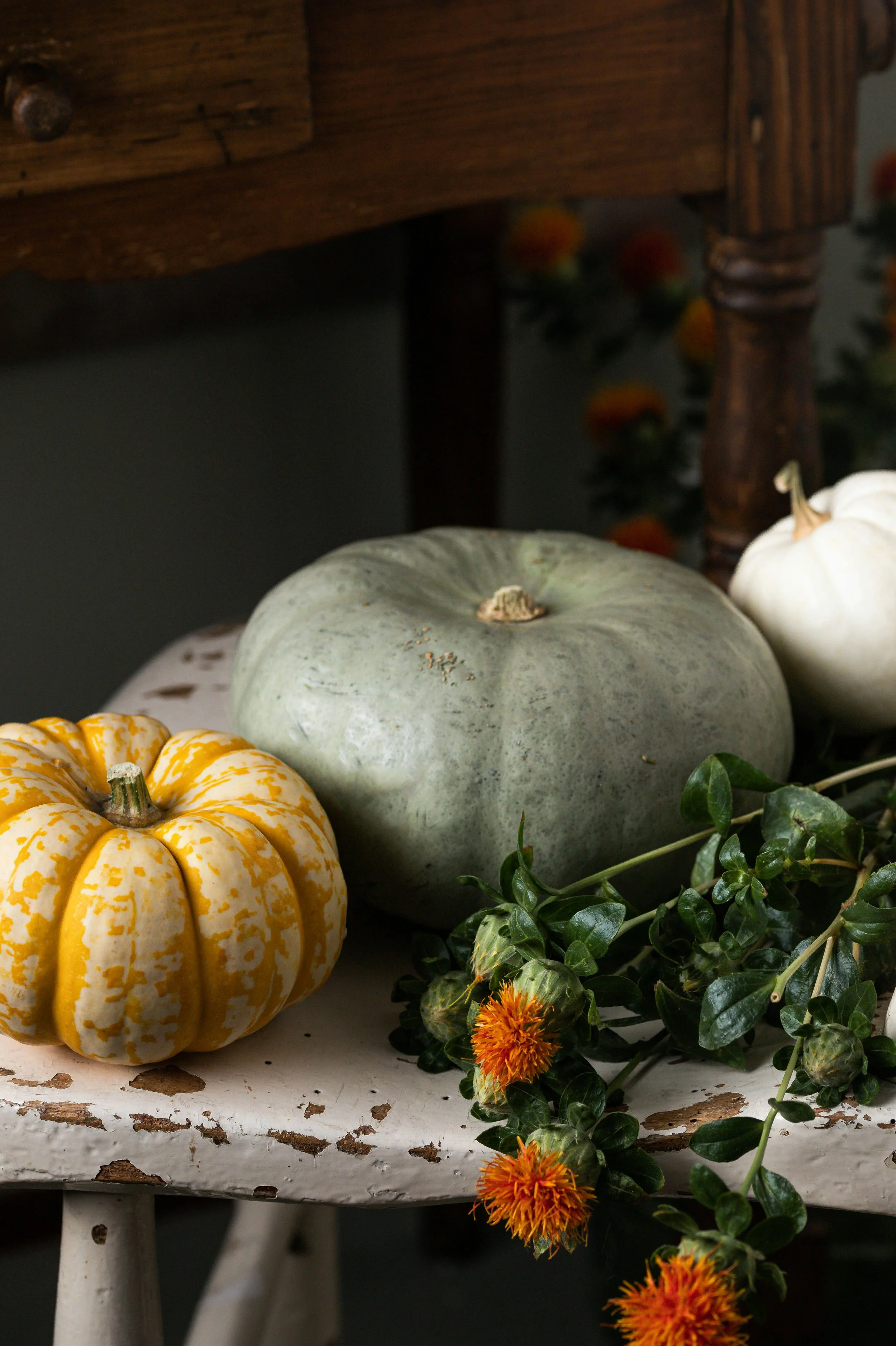 Fall Favorites for Healthy Eating