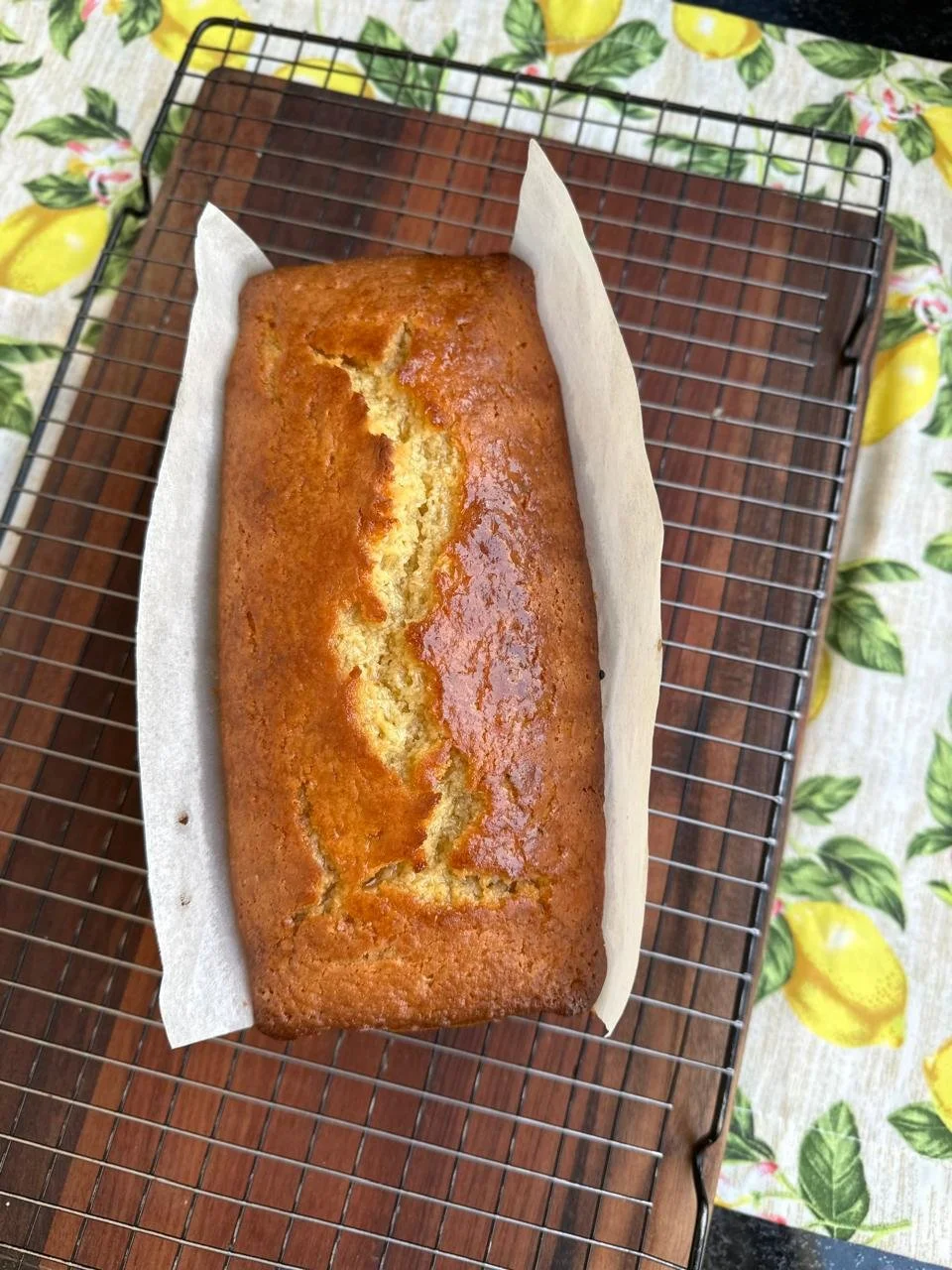 WhatsApp Image 2026-01-22 at 14.22.45 (2).jpeg