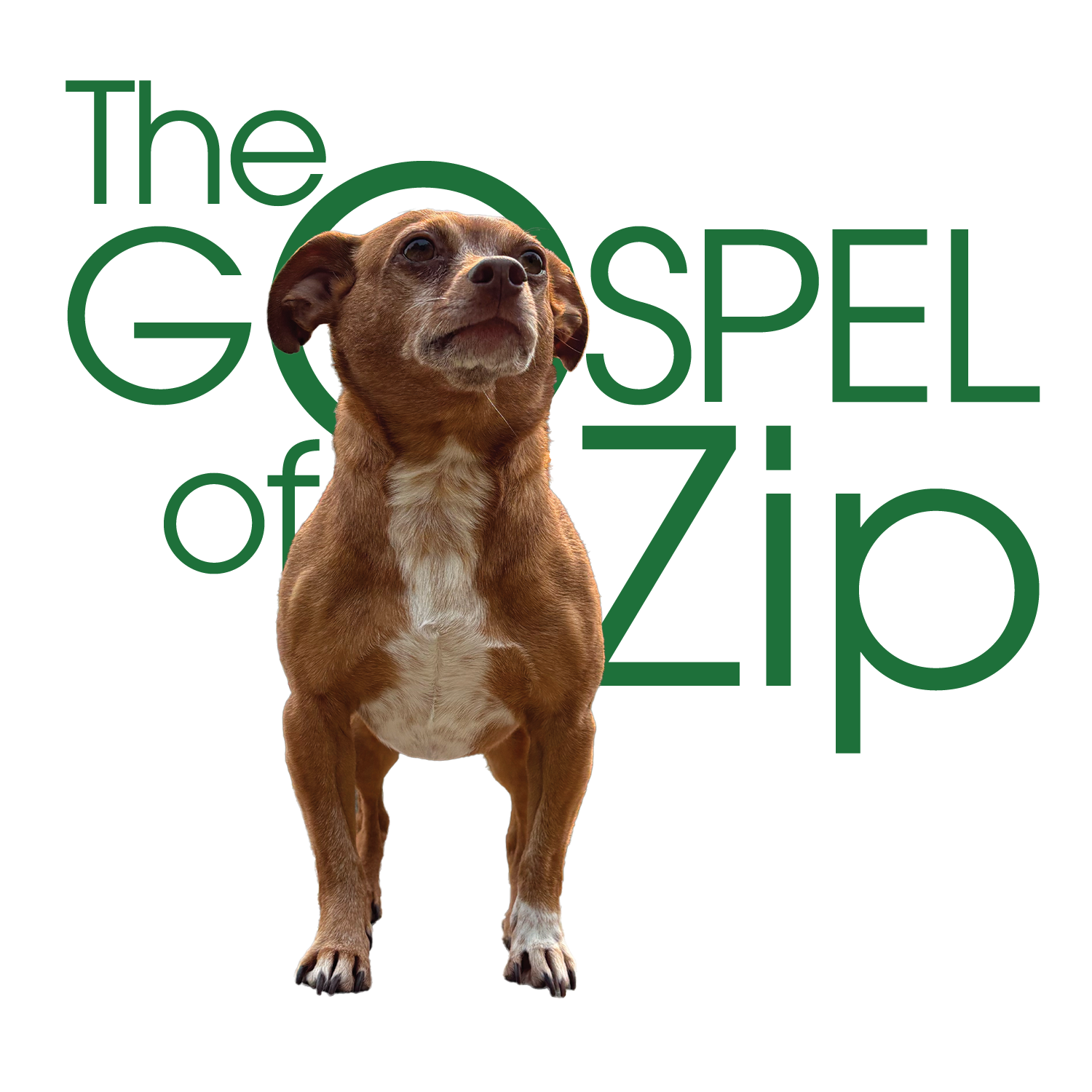 The Gospel of Zip