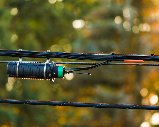 Close-up of electrical wires and a weatherproof connector against a blurred natural background.