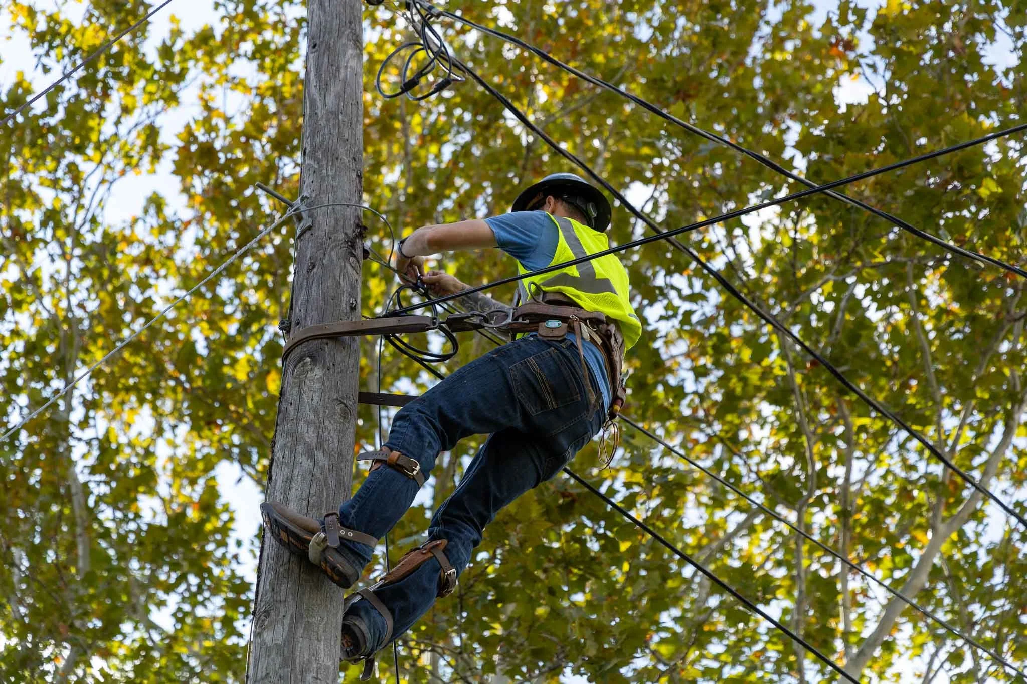A lineman in safety gear working on power lines on a utility pole among trees with autumn leaves.