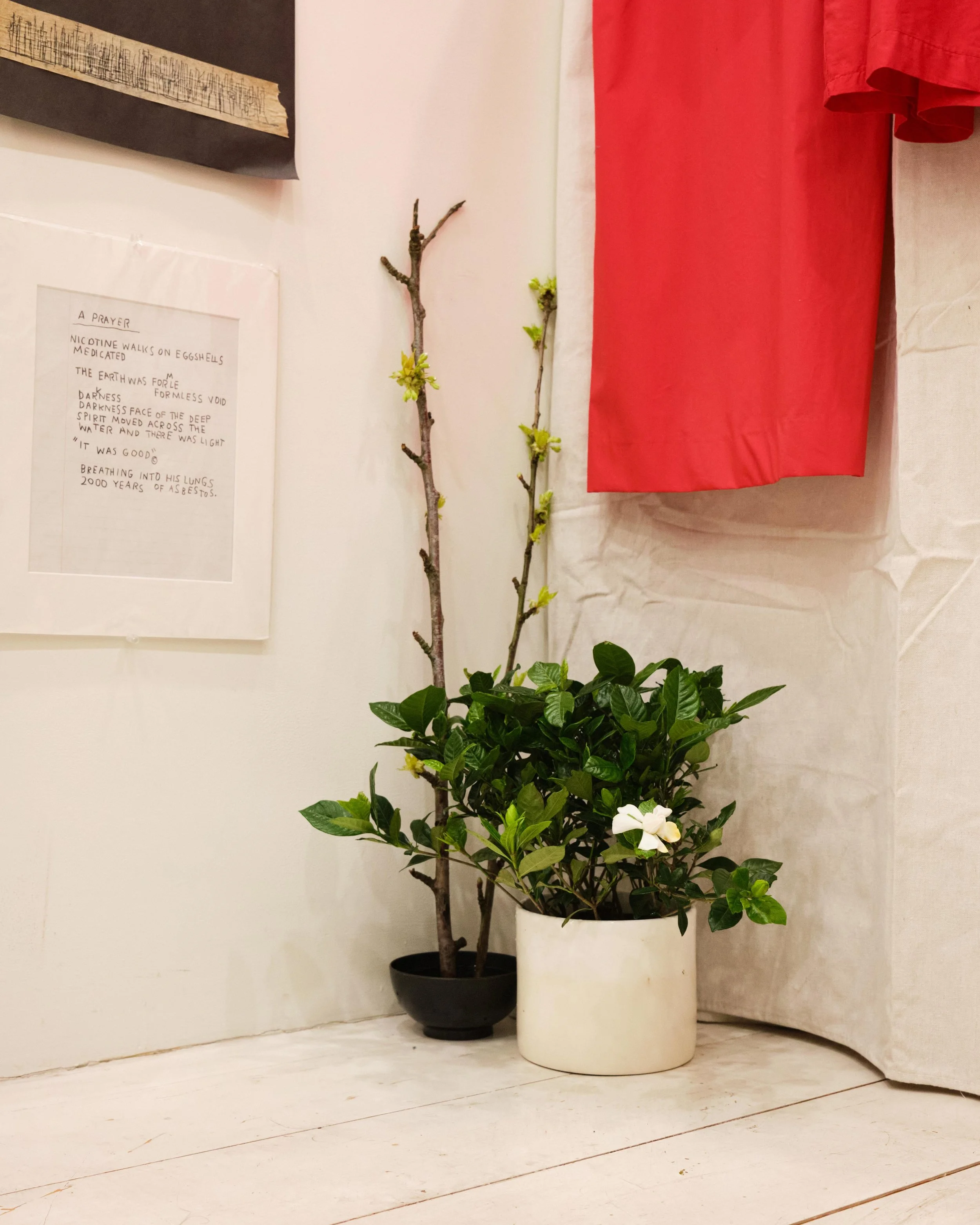 DSCF1298.jpg