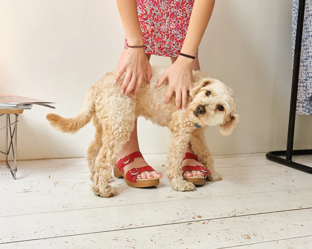 Lamours  Soho pop up