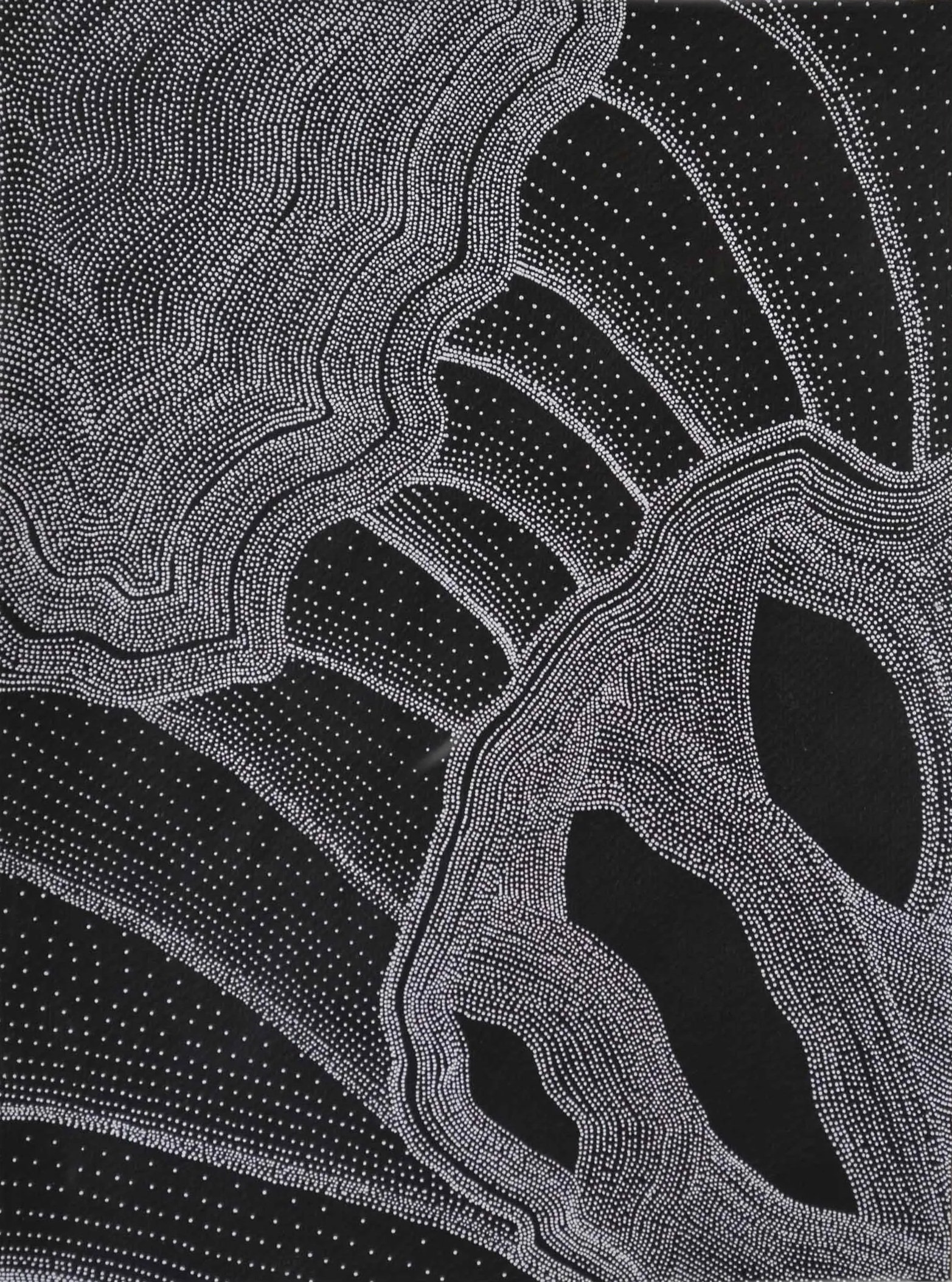 untitled | 13.25 x 9 in. | acrylic, ink on paper | 2025