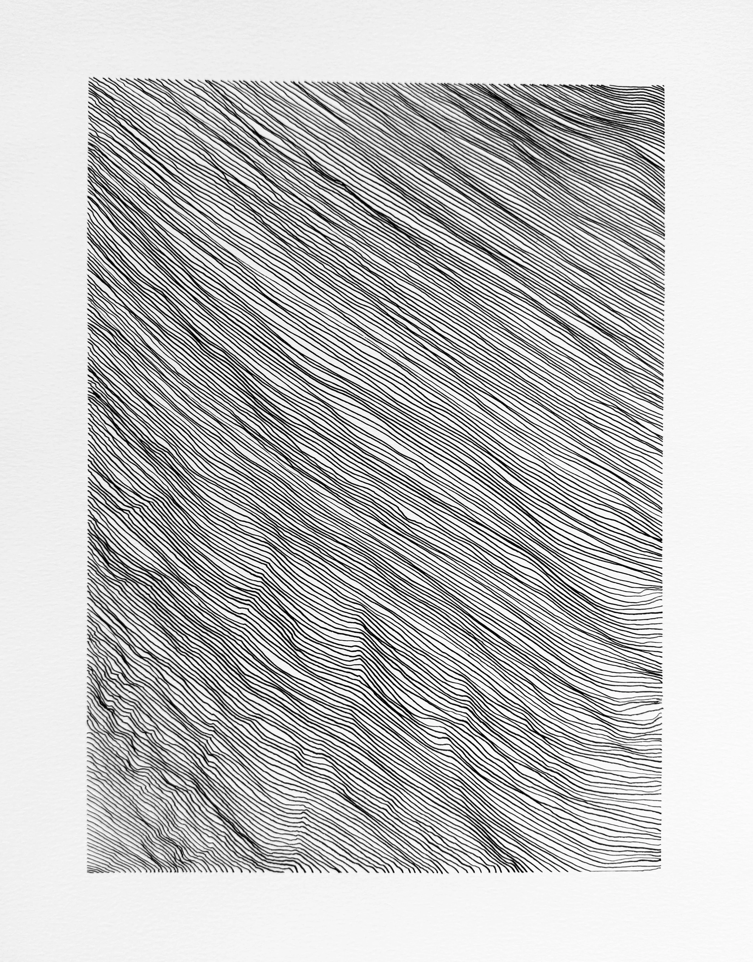 untitled | ink on paper | 14 x 11 in. | 2026