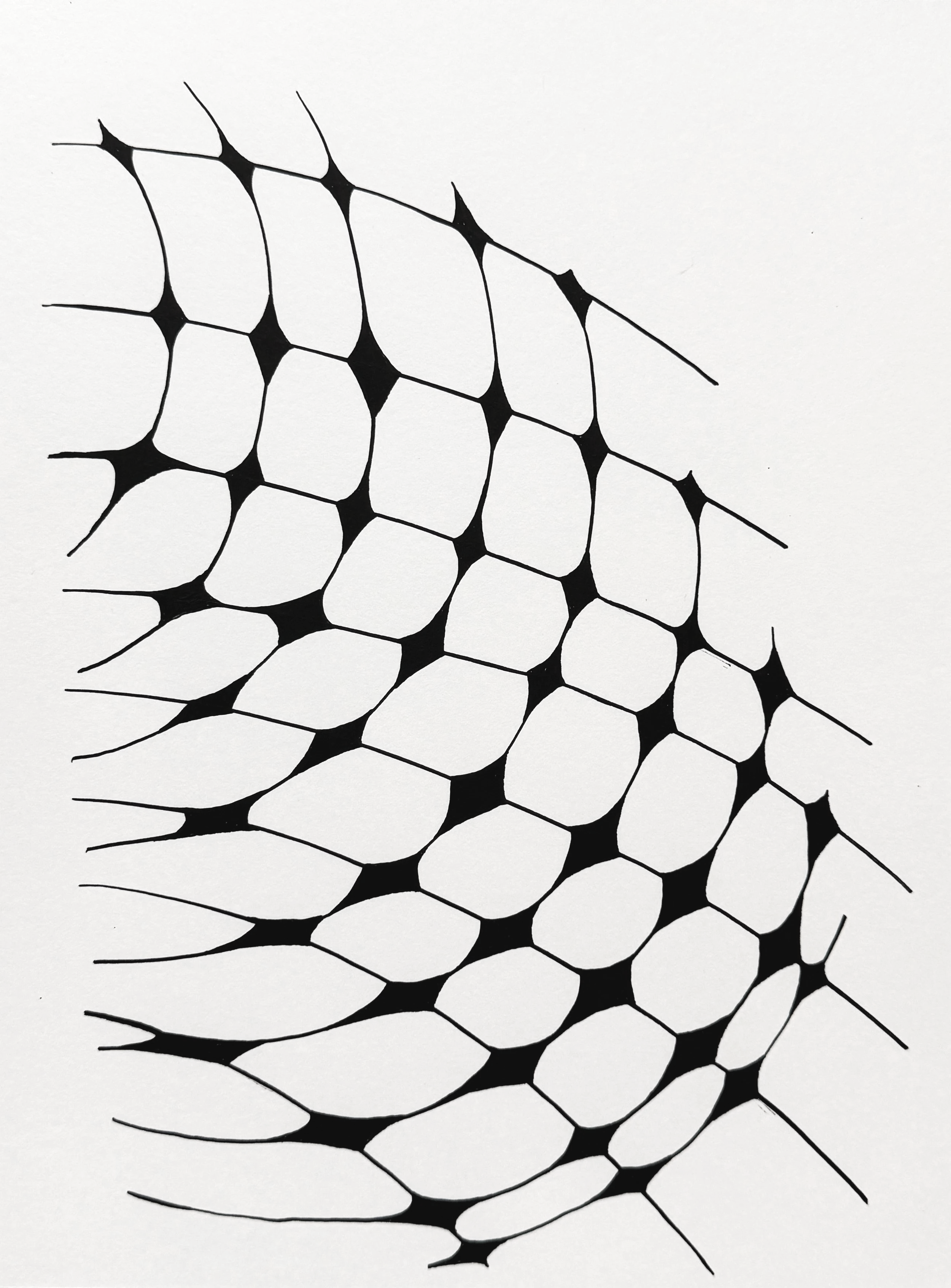 untitled | ink on paper | 12 x 9 in. | 2026
