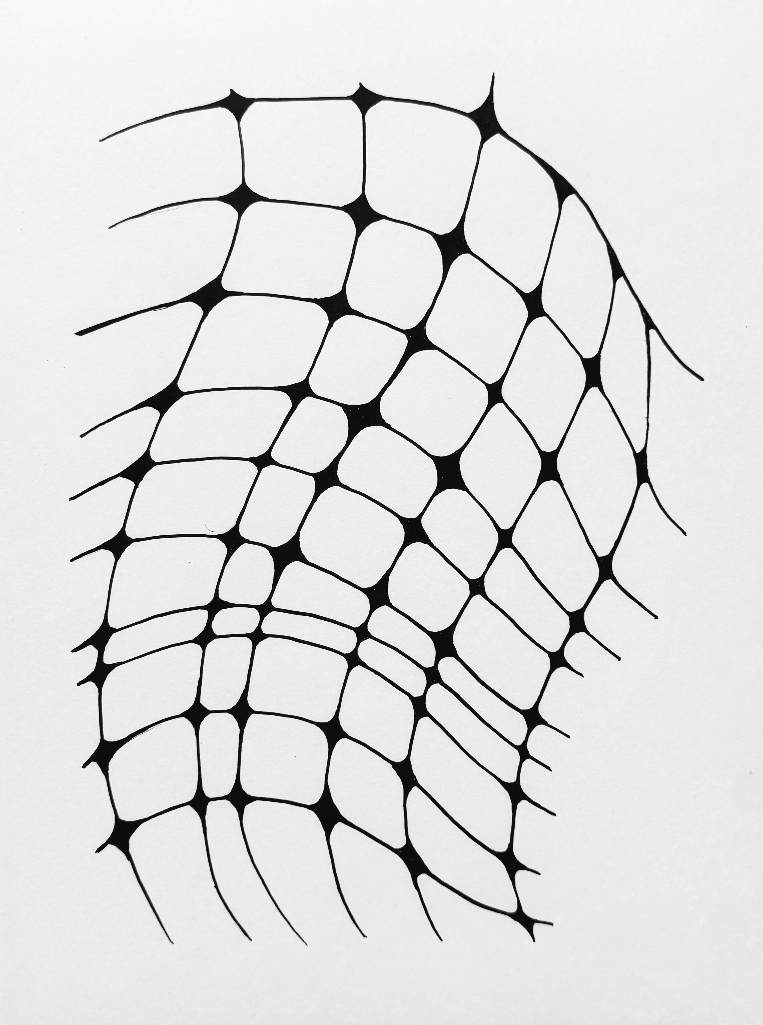 untitled | ink on paper | 12 x 9 in. | 2026