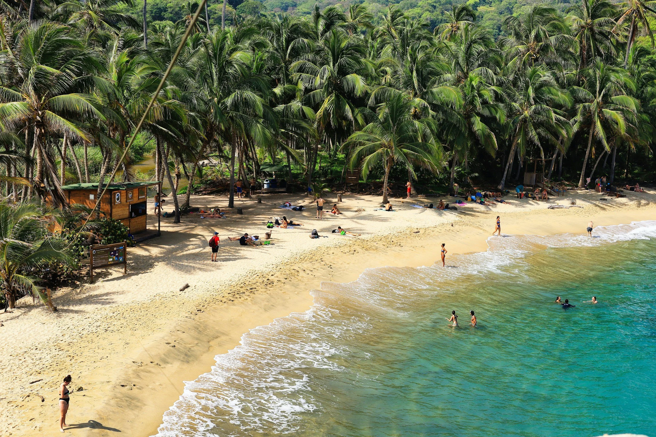 Cultivating Legacies: Why Family Offices and Corporate Capitals Must Invest in the Top 5 Conservation Destinations in Colombia