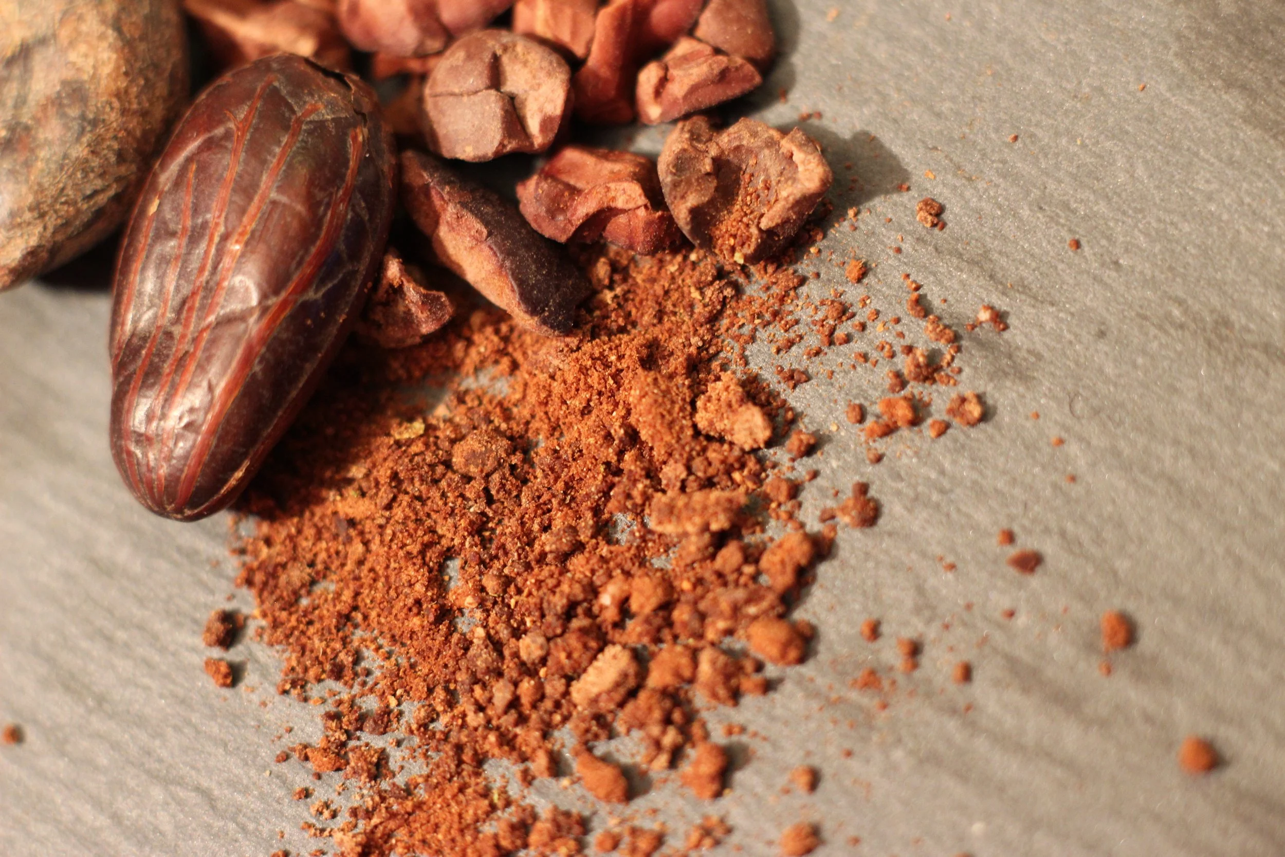 janiceweirgermia-cacao-3005624.jpg