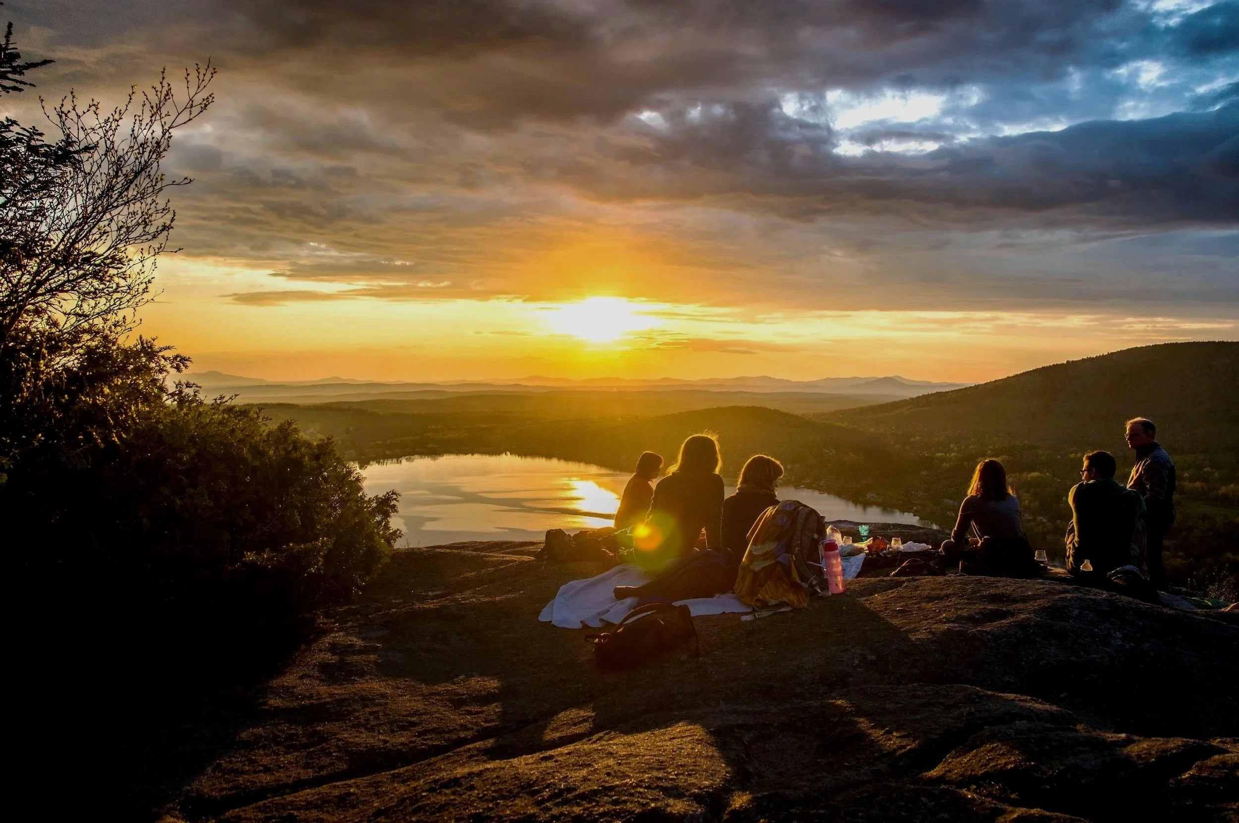 Net Zero Executive Retreats: Why Carbon Neutrality is Non-Negotiable for 2026 Boardroom Gatherings